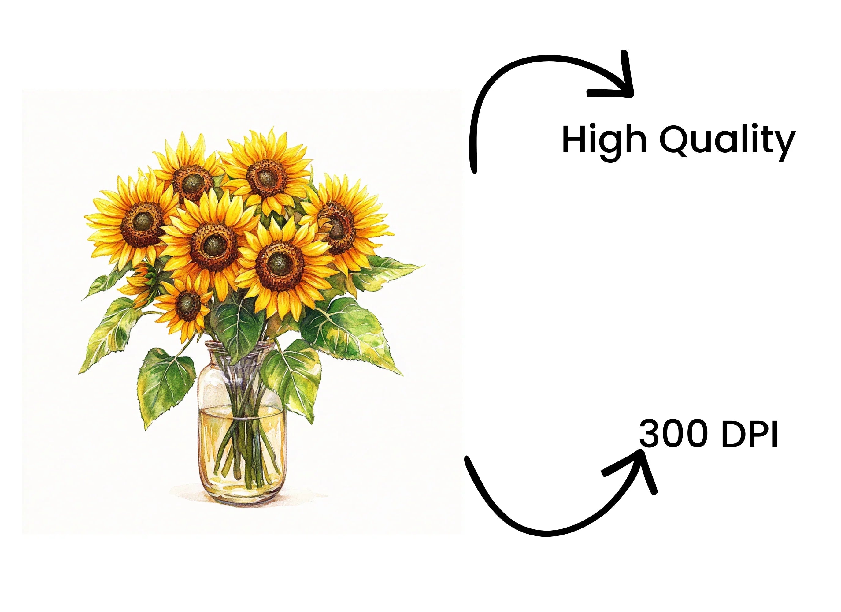 Sunny Sunflower Arrangements in Glass Jars Clipart Bundle