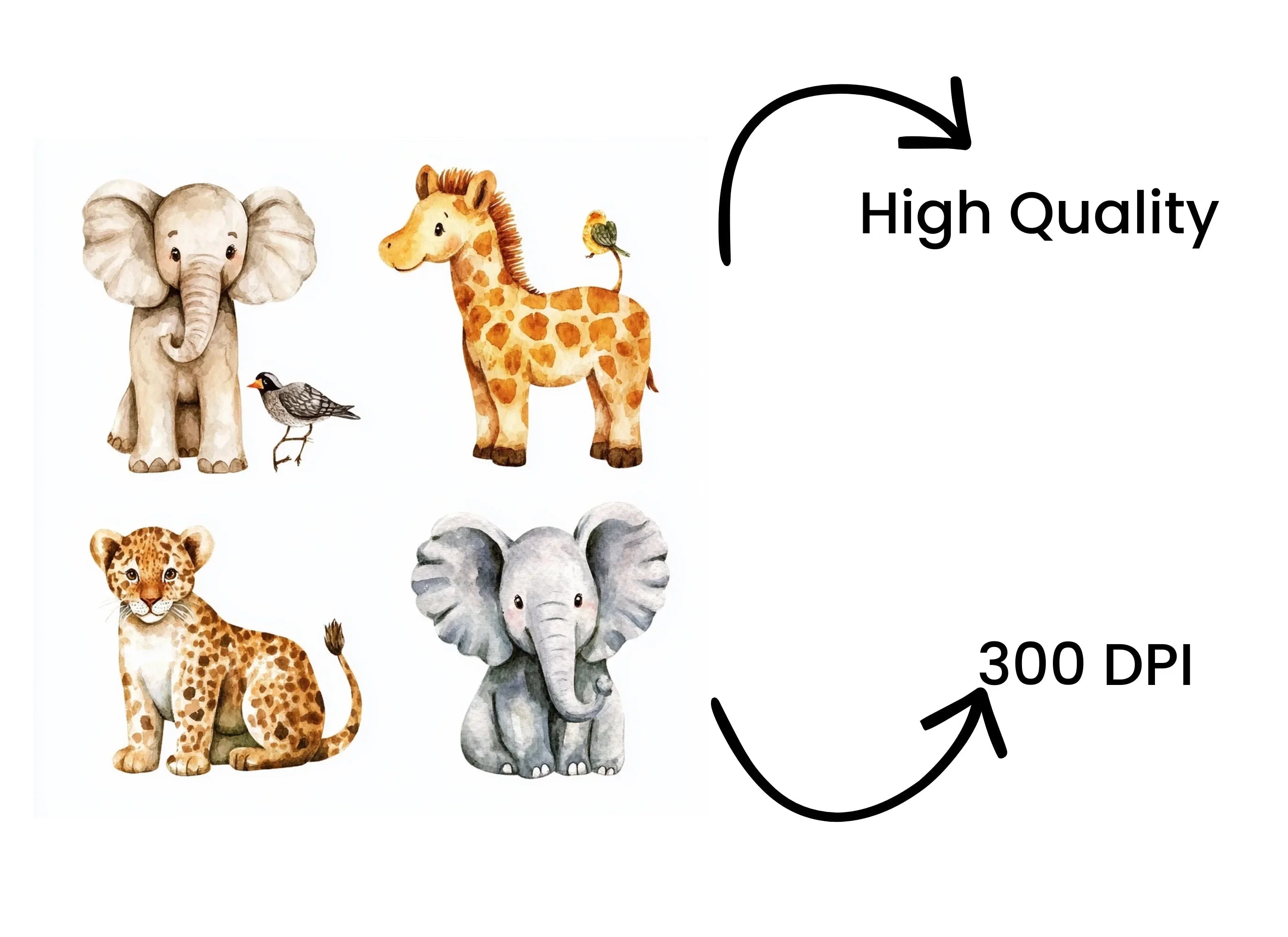 Cute Baby Safari Animals Clipart Bundle