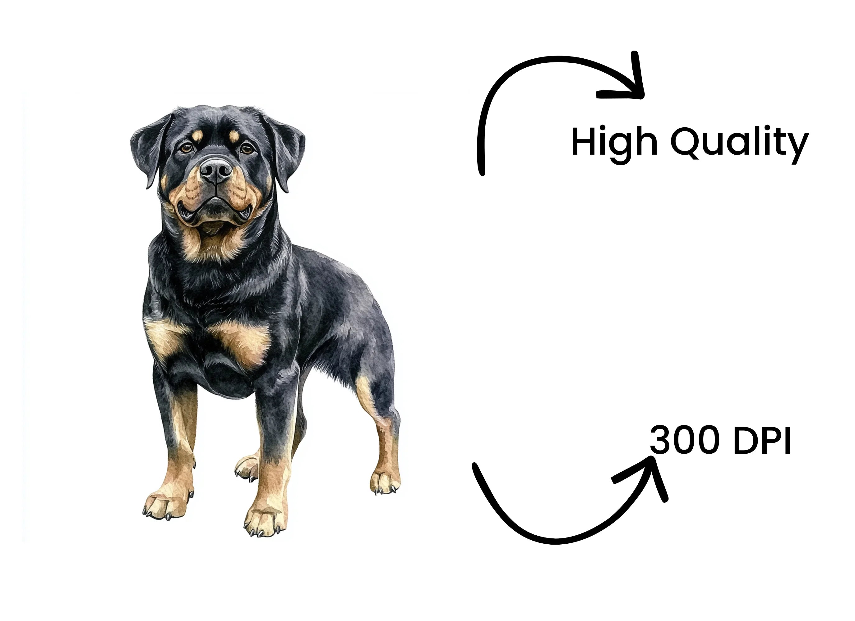 Dynamic Rottweiler Dog Clipart Bundle