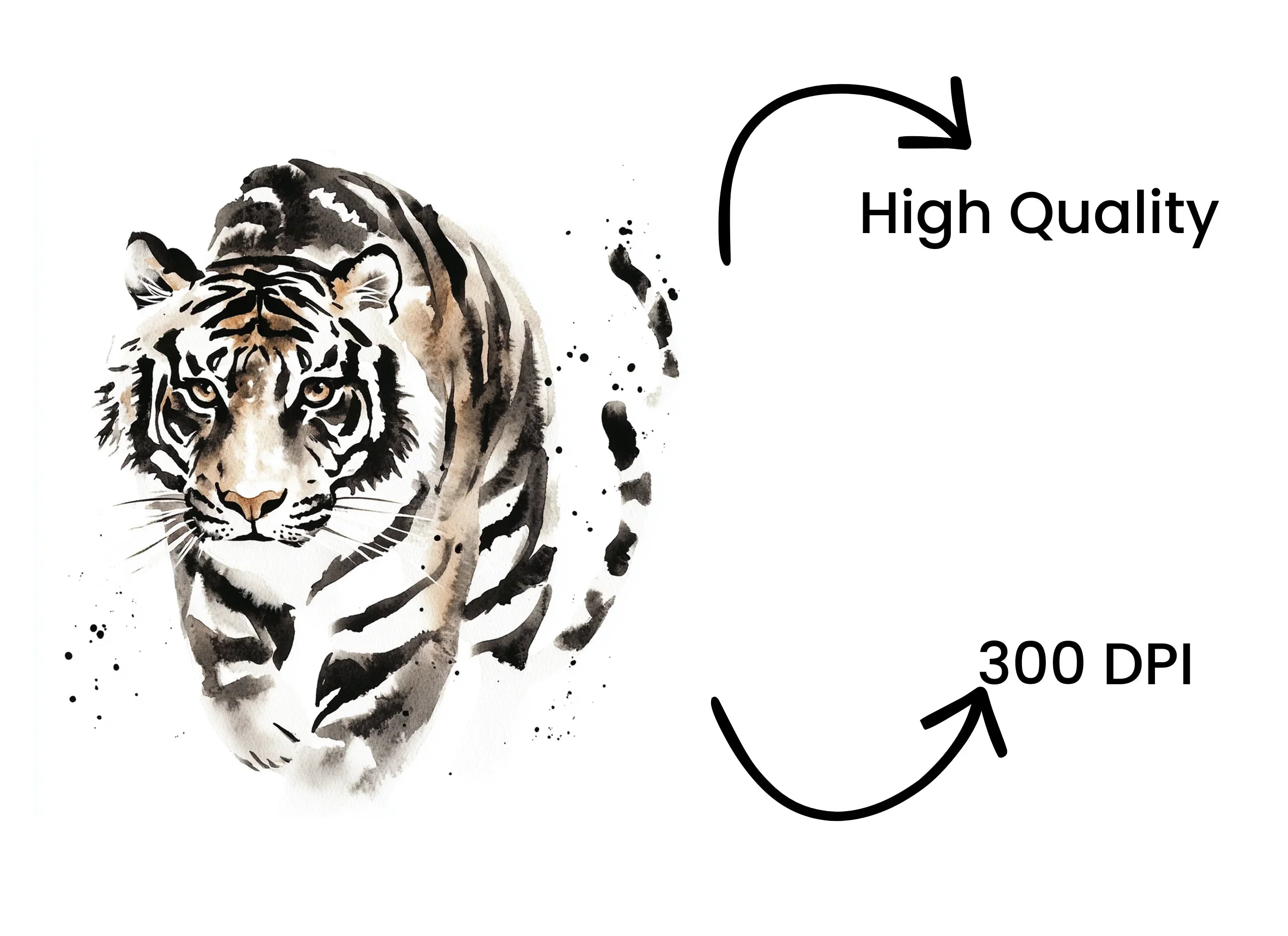 Ink Wash Tiger Clipart Bundle