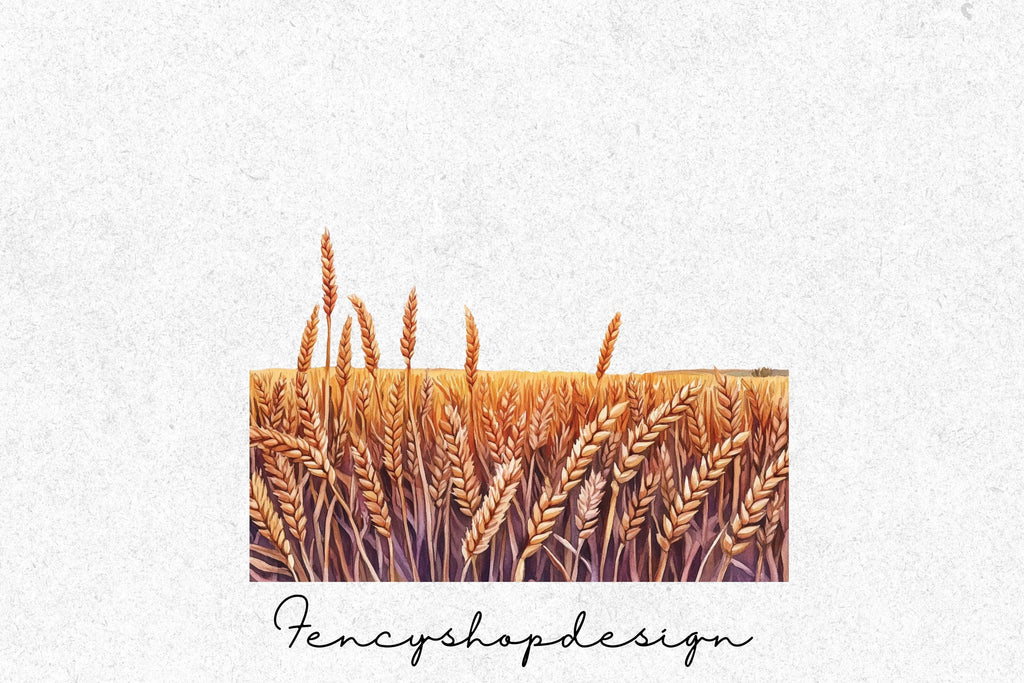 Golden Wheat Stalks Field Clipart Bundle