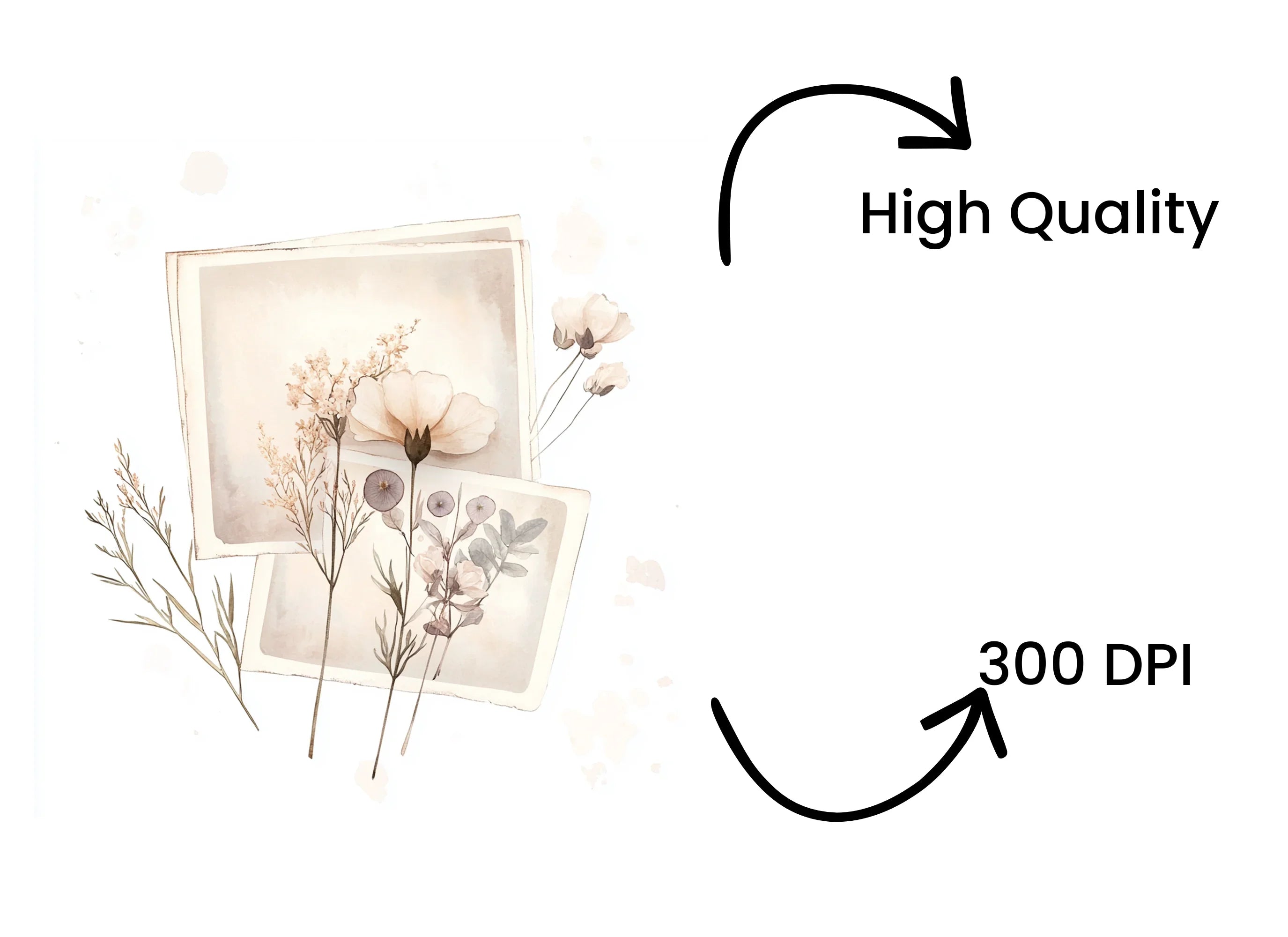 Delicate Flowers Frames Clipart Bundle