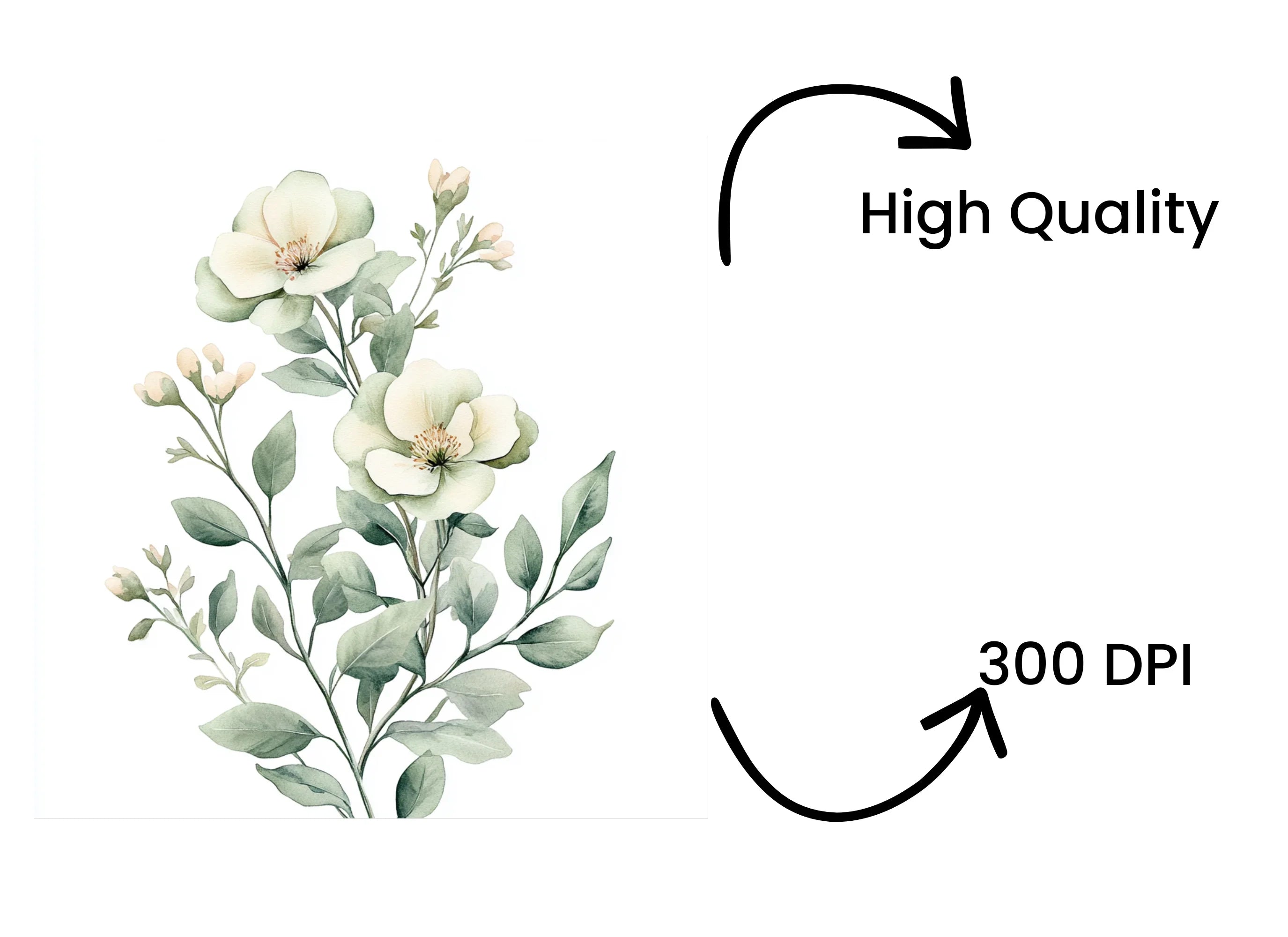 Elegant Floral Clipart Bundle