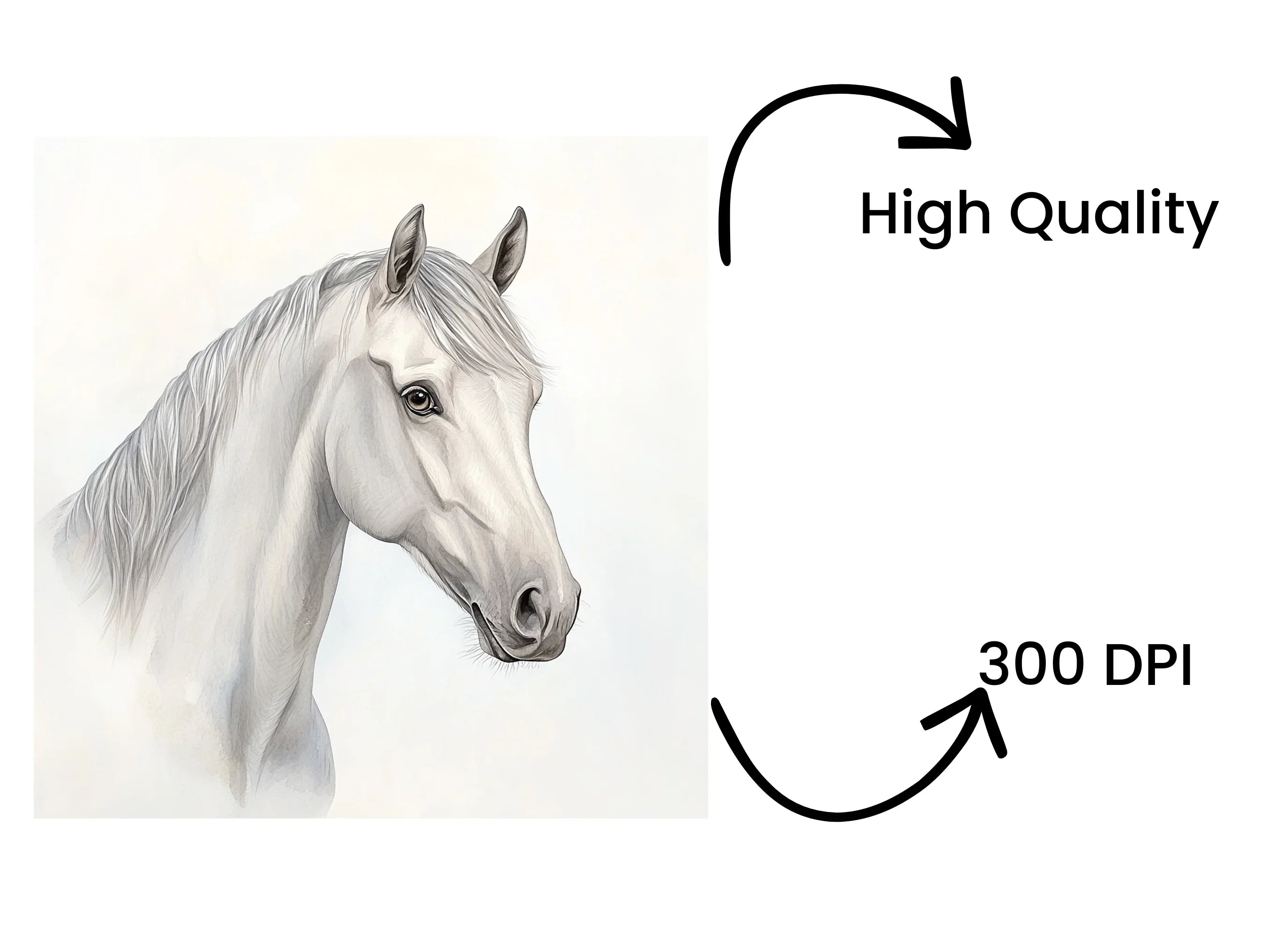 Beautiful White Horse Head Clipart Bundle