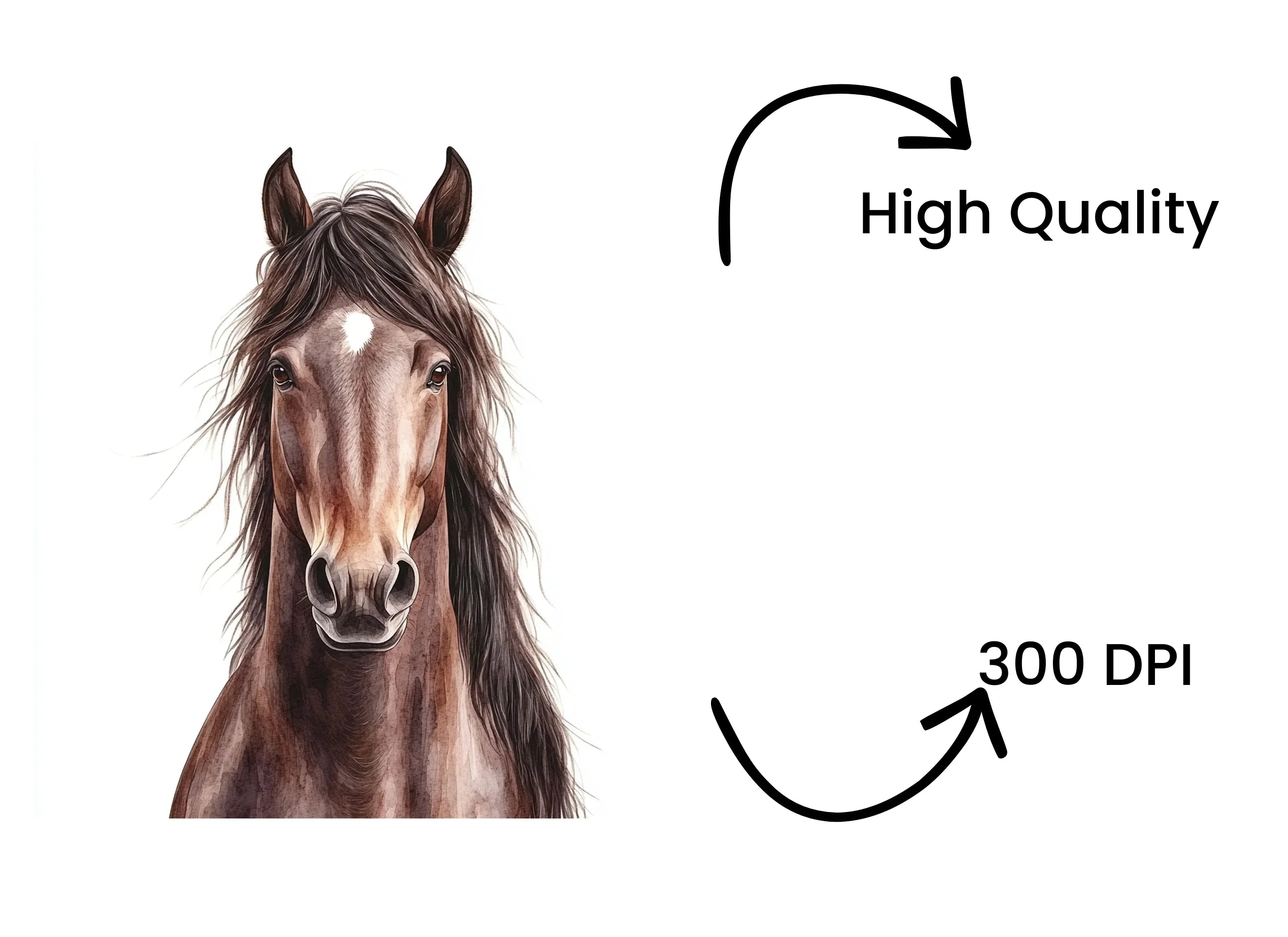 Expressive Horse Head Clipart Bundle