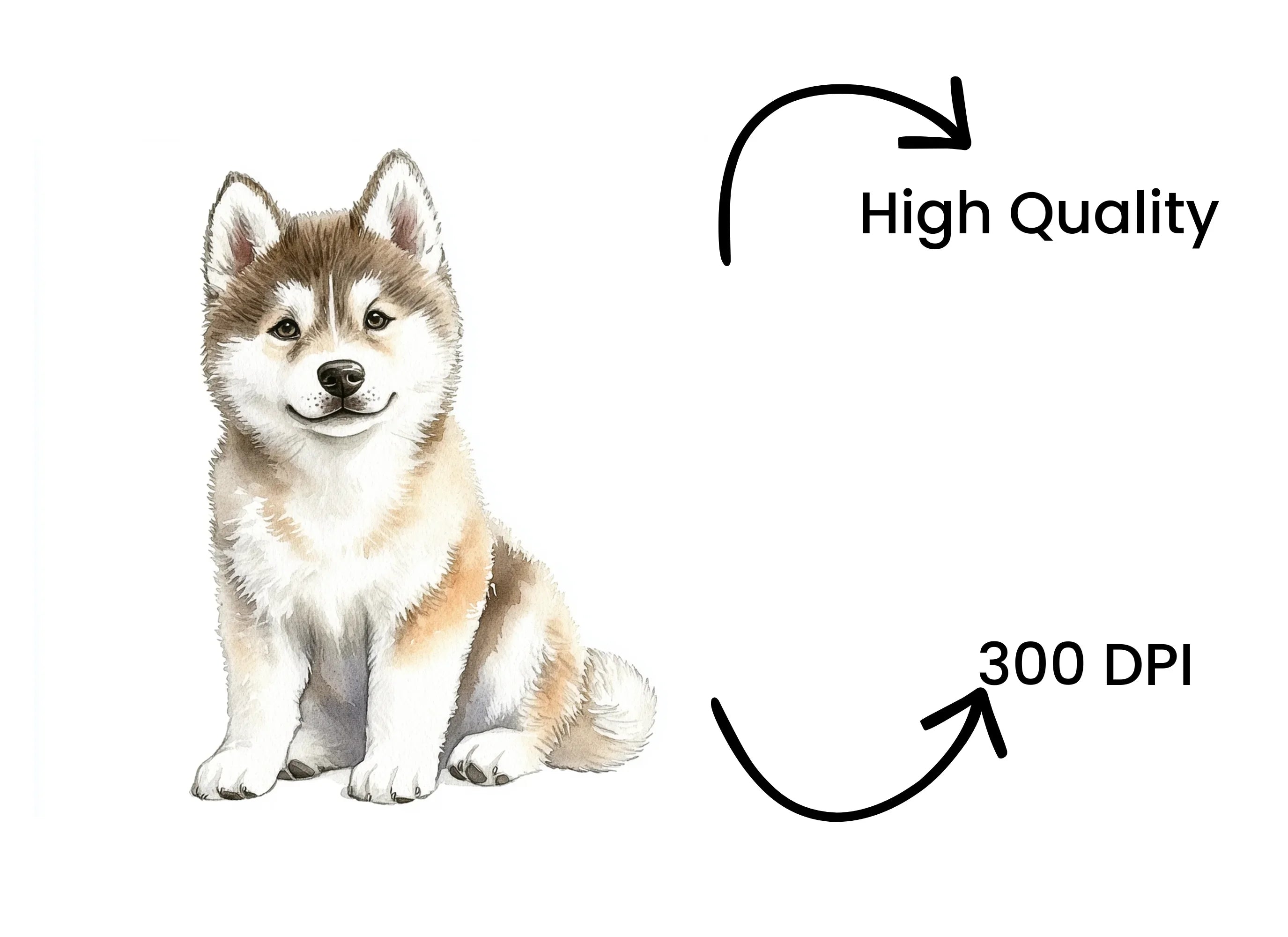 Cute Husky Puppy Clipart Bundle