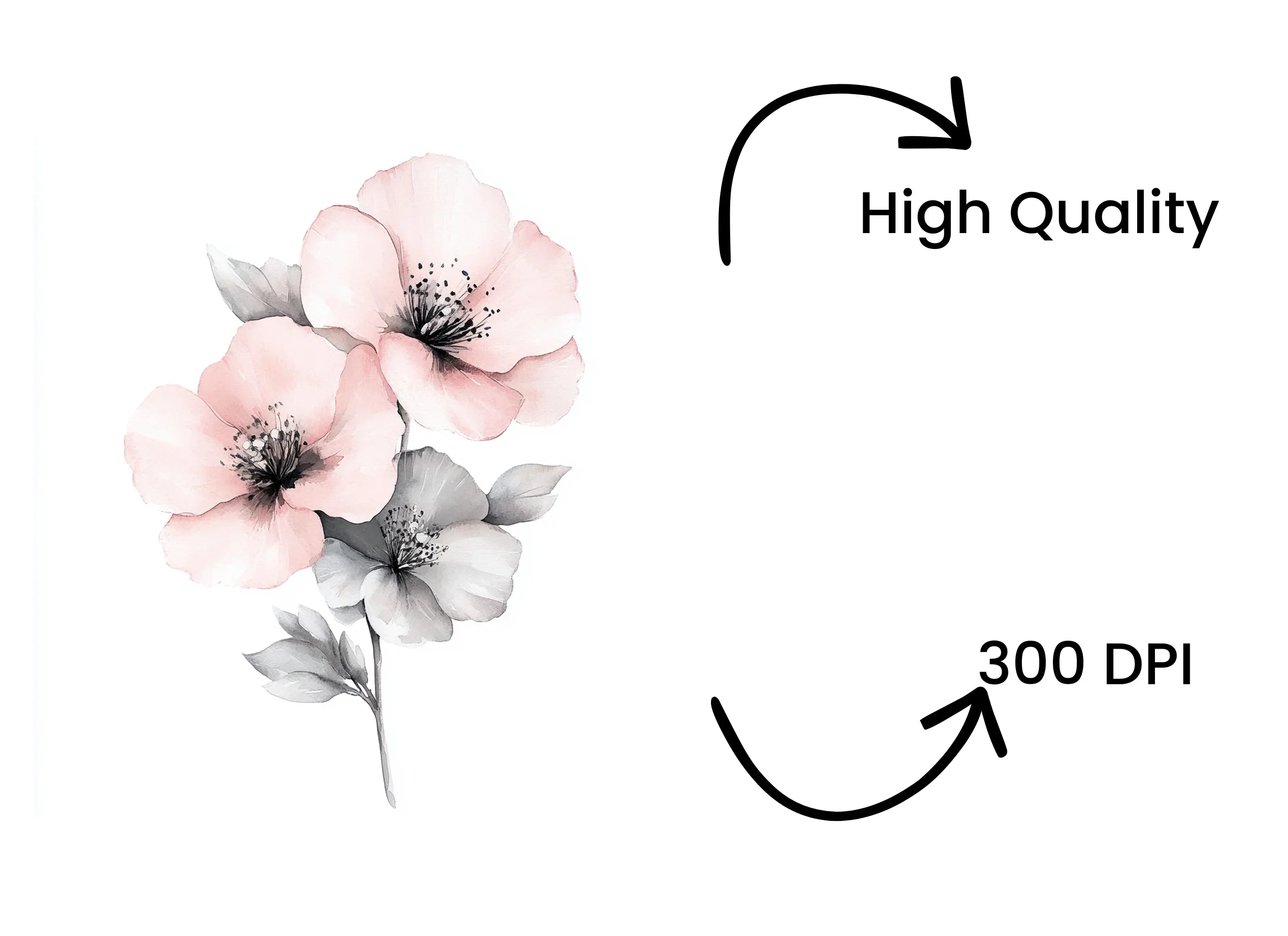 Elegant Pink Floral Clipart Bundle