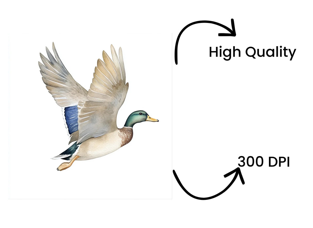 Flying Mallard Duck Clipart Bundle