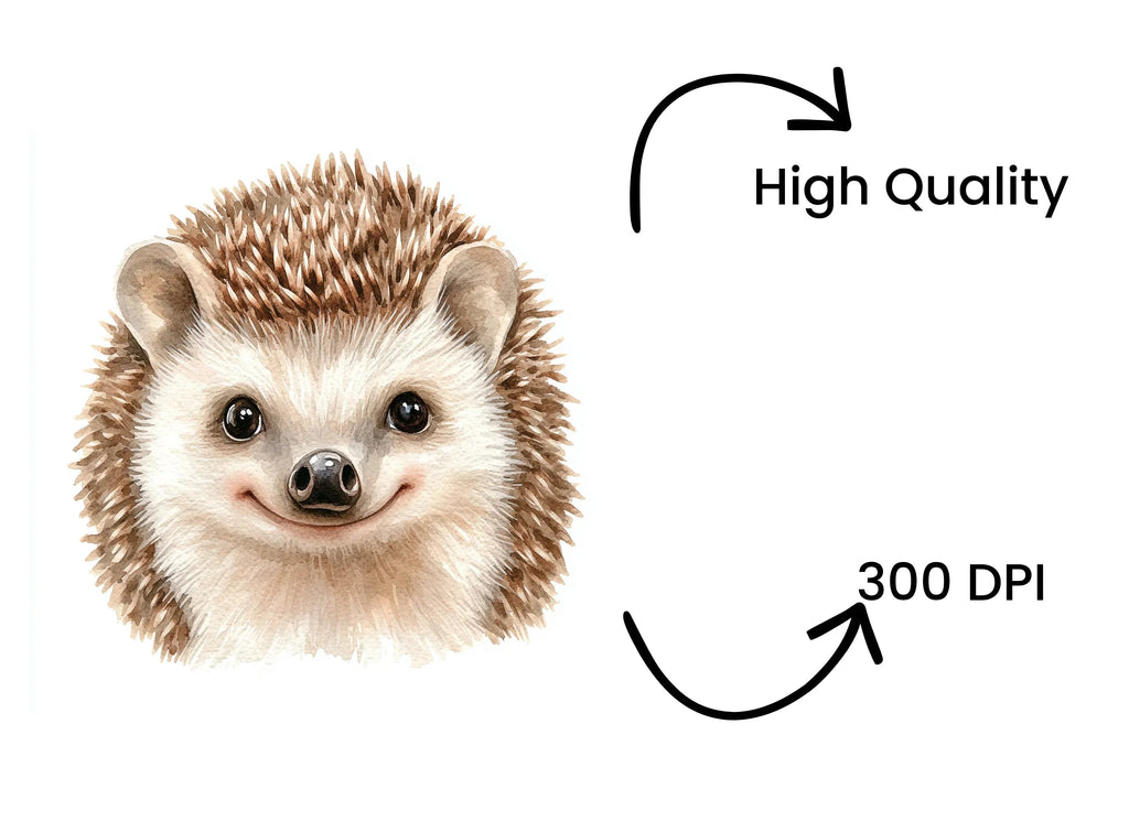 Cute Hedgehog Clipart Bundle