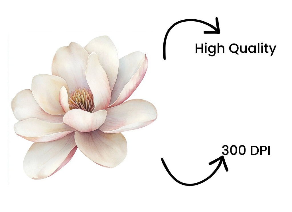 Elegant Magnolia Flower Clipart Bundle