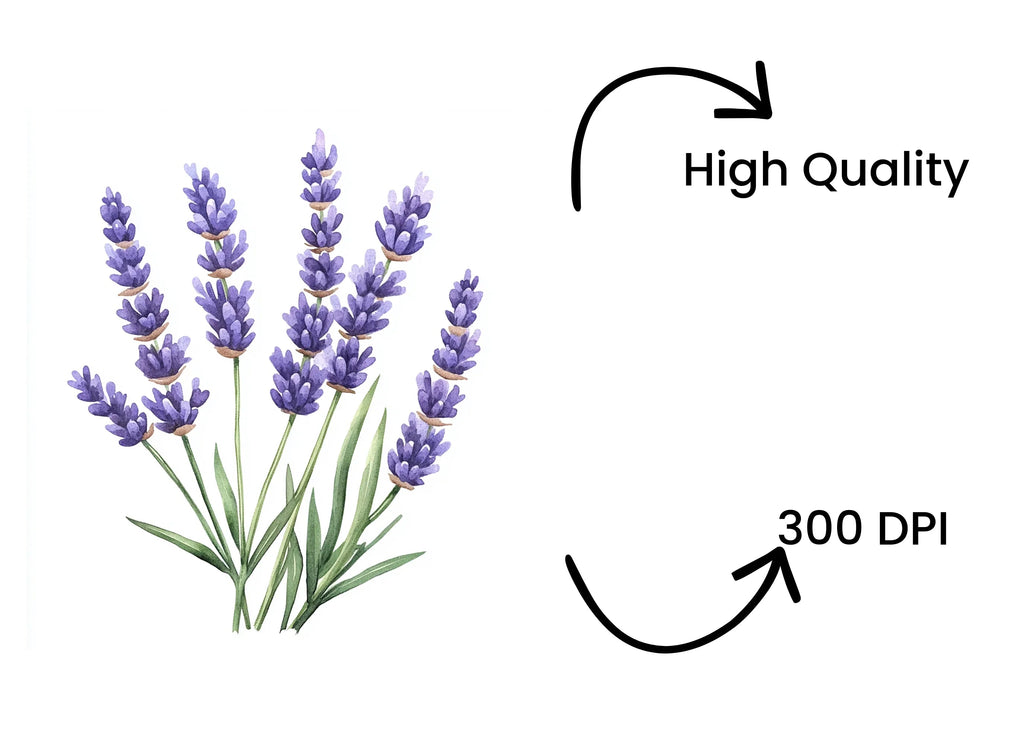 Lavender Clipart Bundle