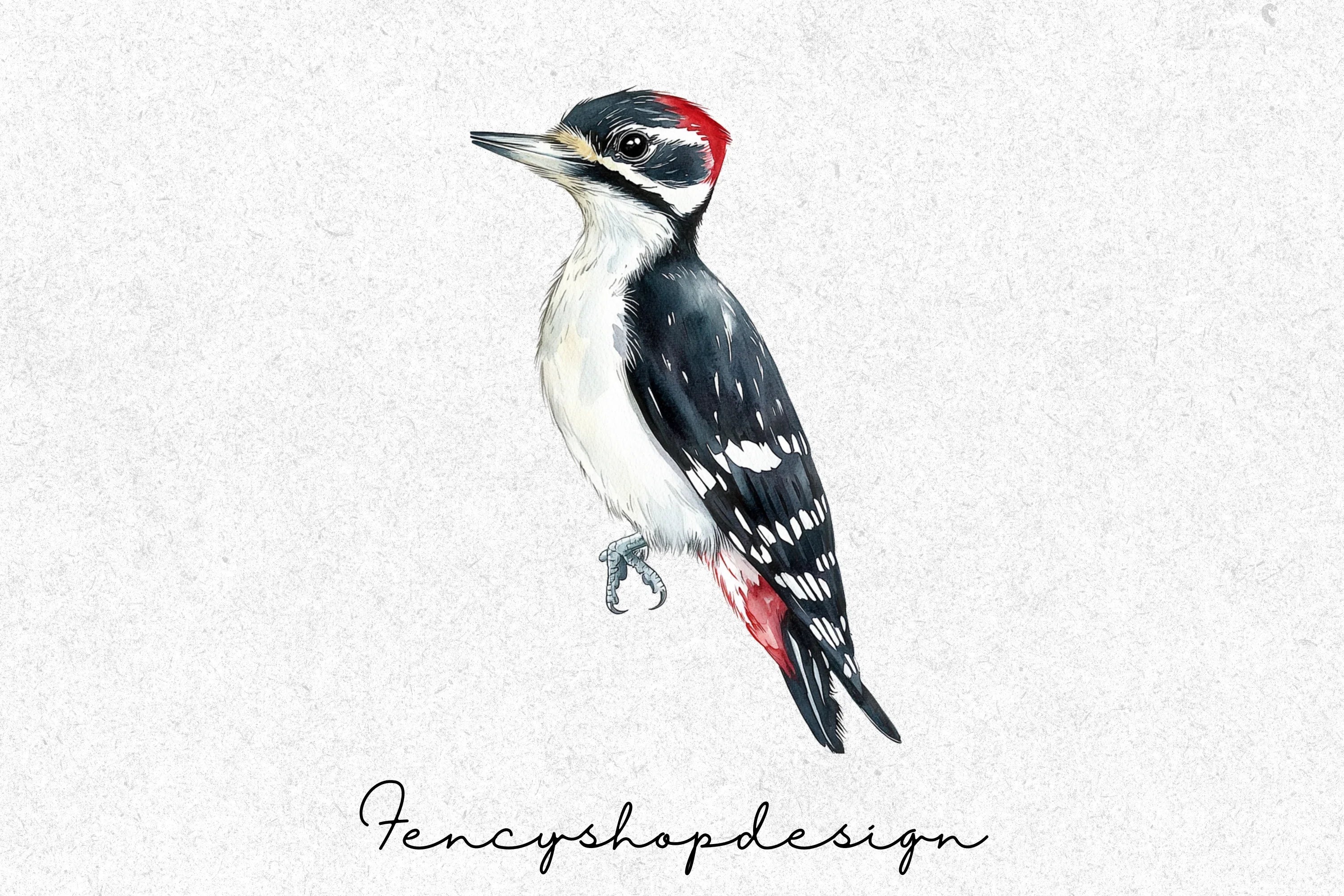 Charming Birds Clipart Bundle