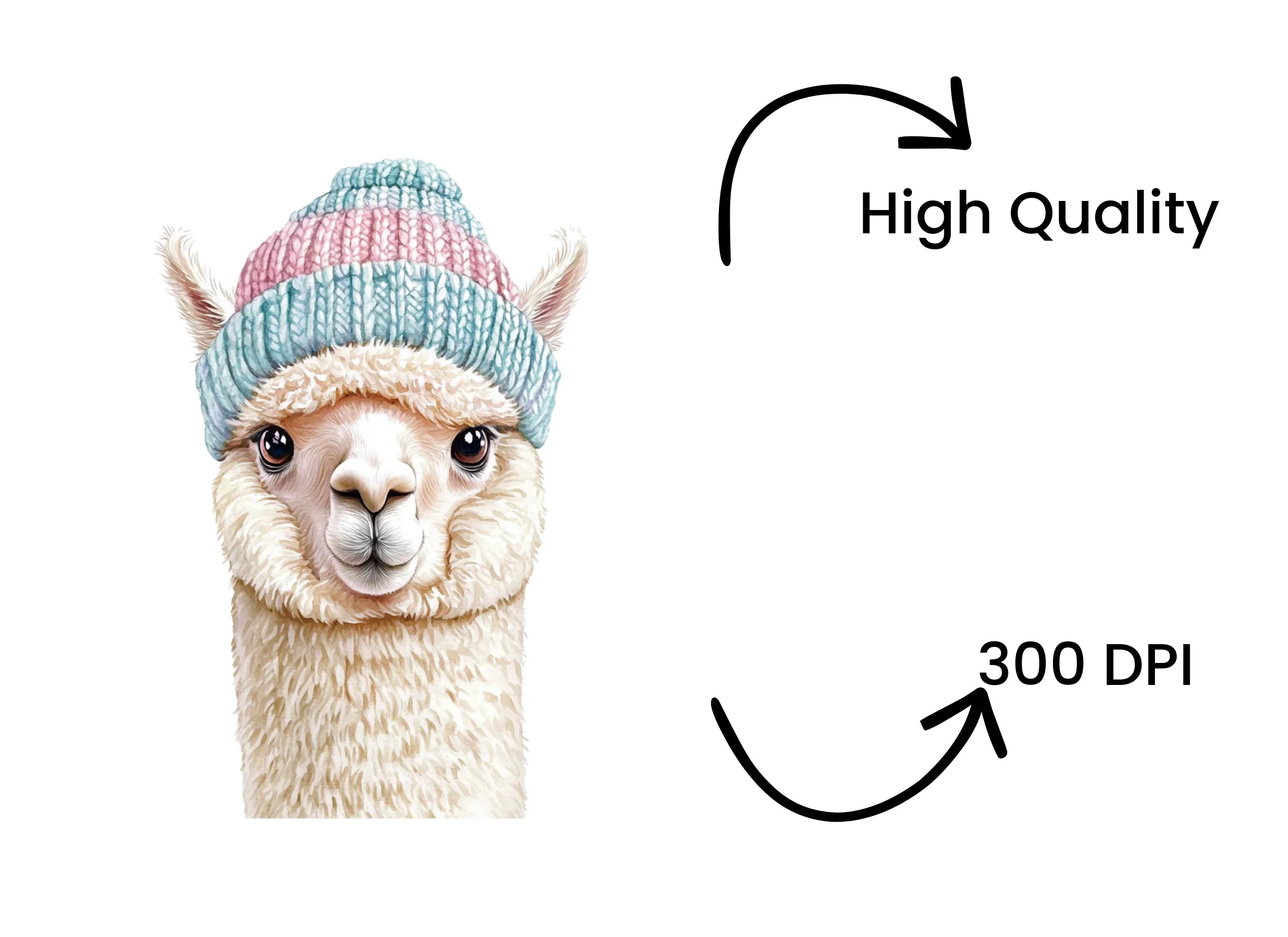 Cute Alpaca Winter Hat Clipart Bundle