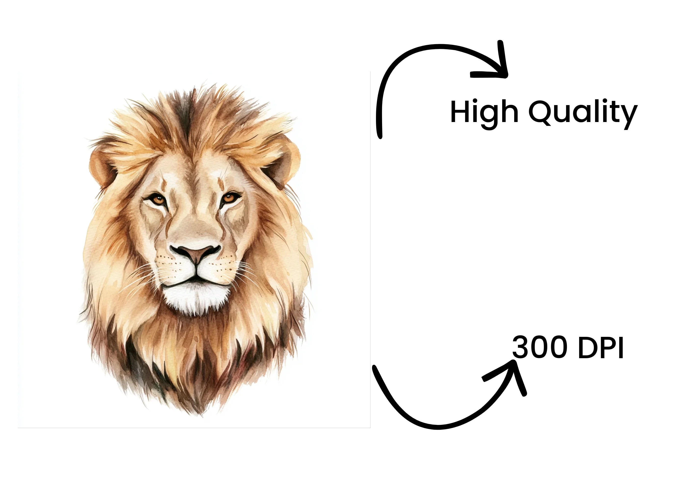 Majestic Lion Clipart Bundle