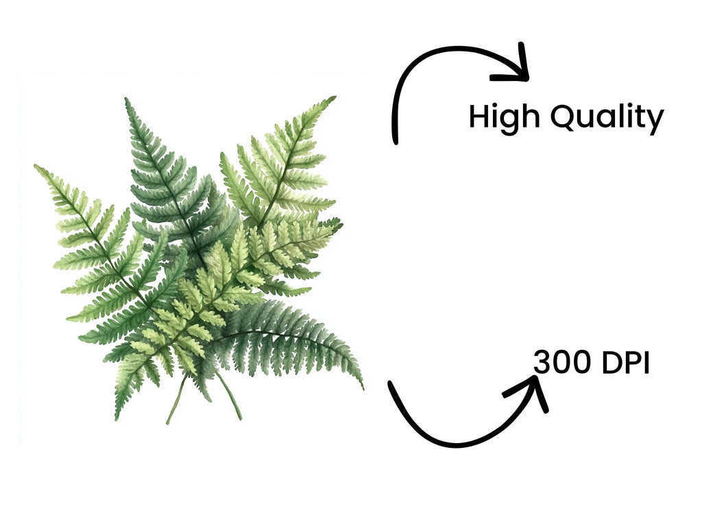 Fern Leaves Clipart Bundle