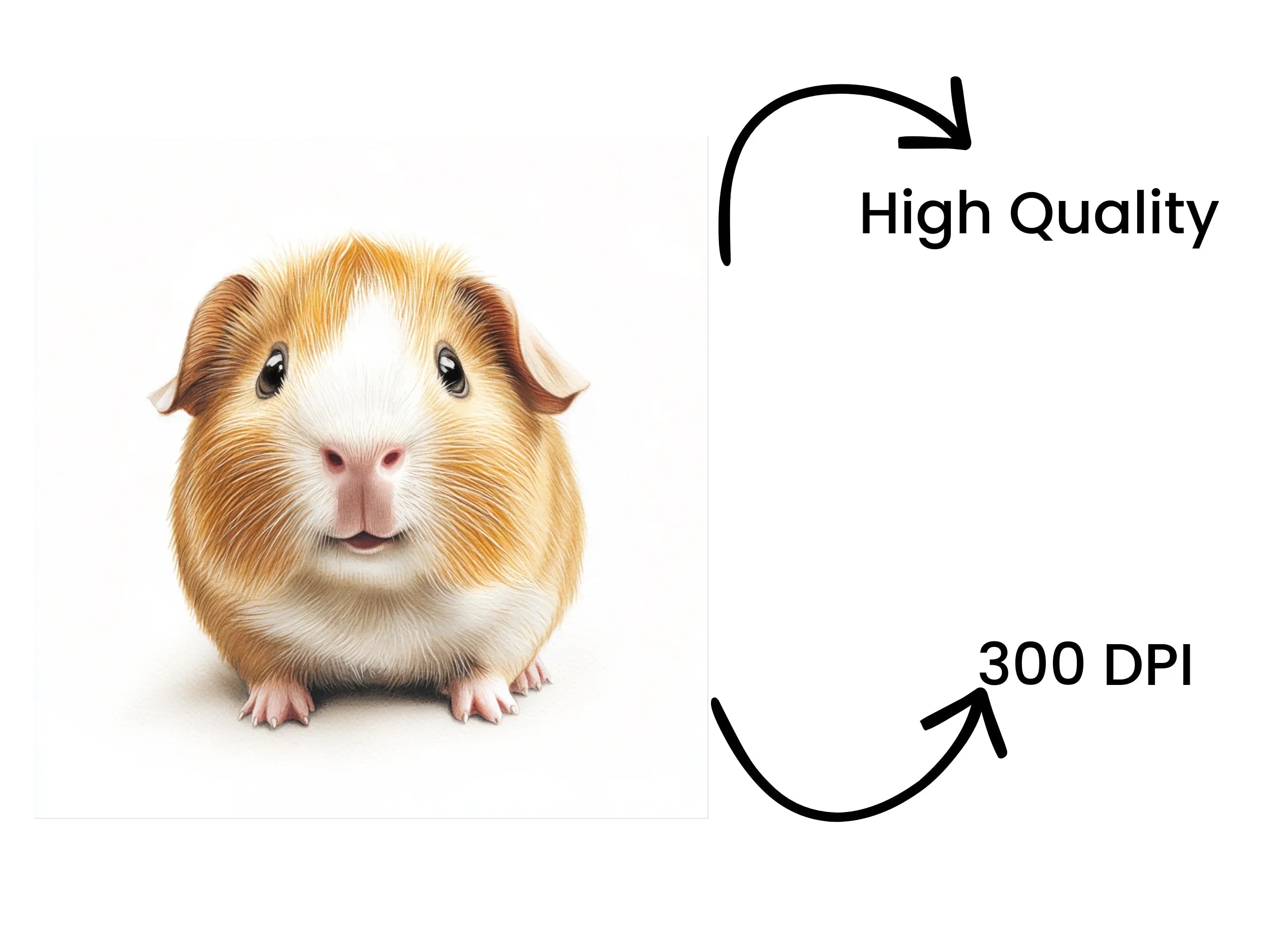 Cute Guinea Pig Clipart Bundle