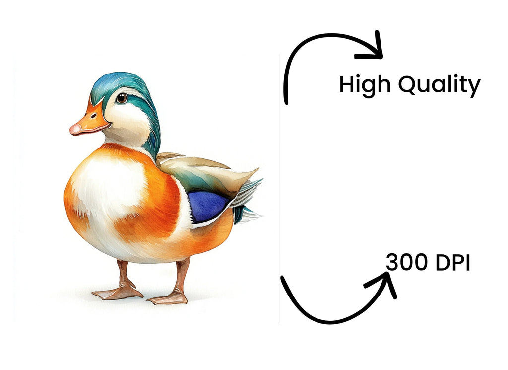 Colorful Mandarin Duck Clipart Bundle