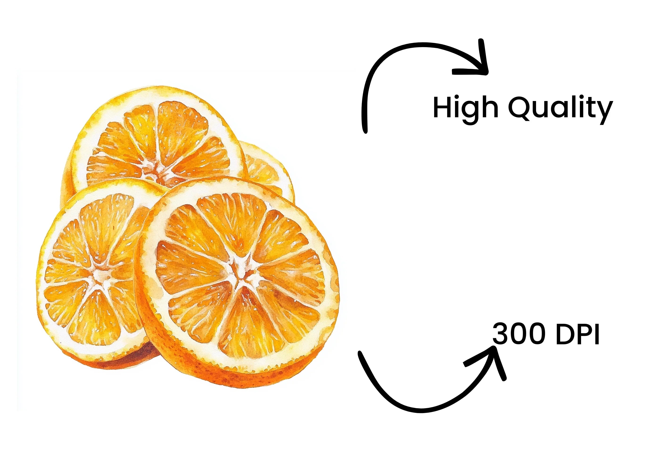 Fresh Orange Slices Clipart Bundle