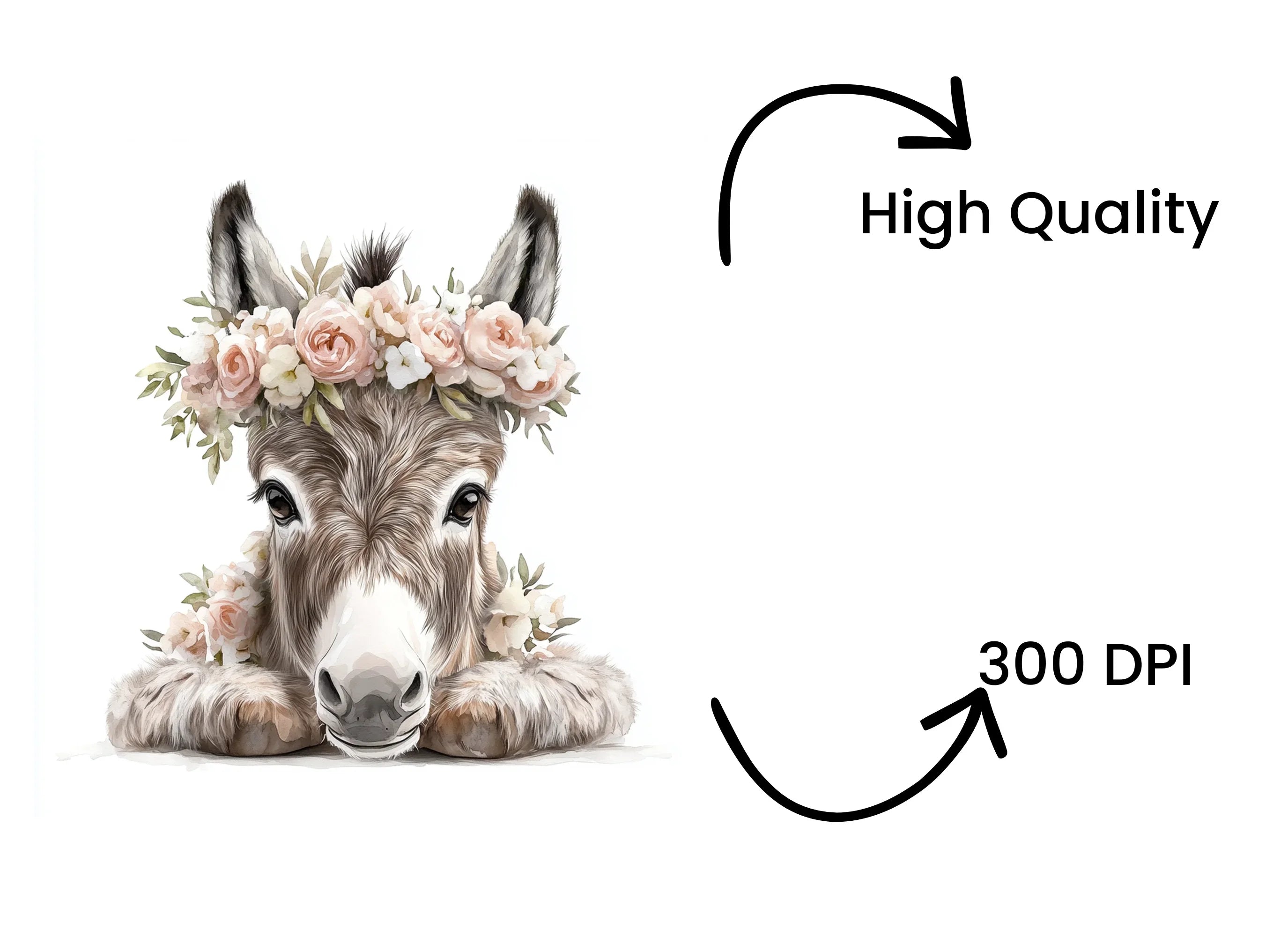Adorable Donkey with Floral Crown Clipart Bundle