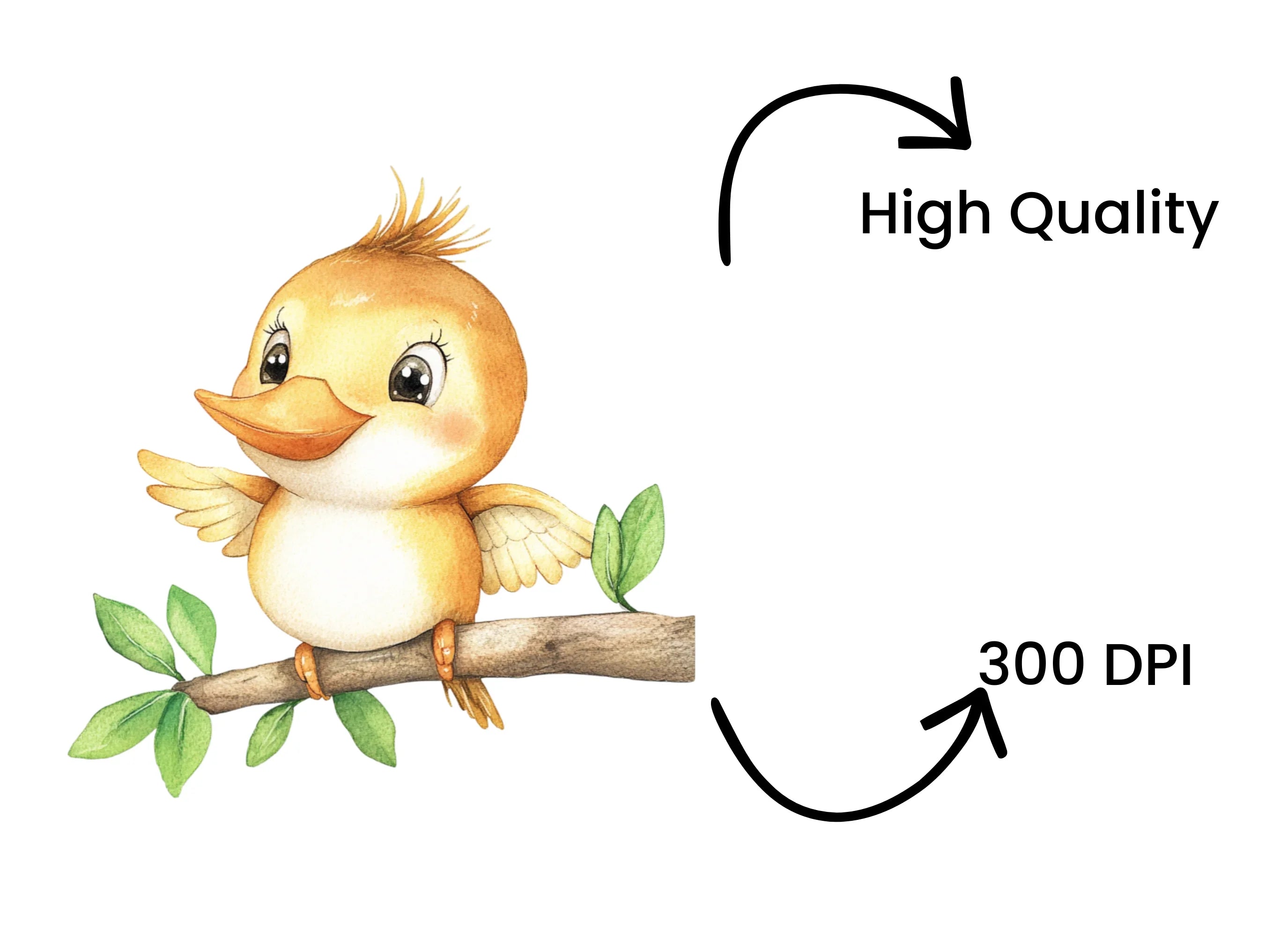 Charming Baby Bird Clipart Bundle