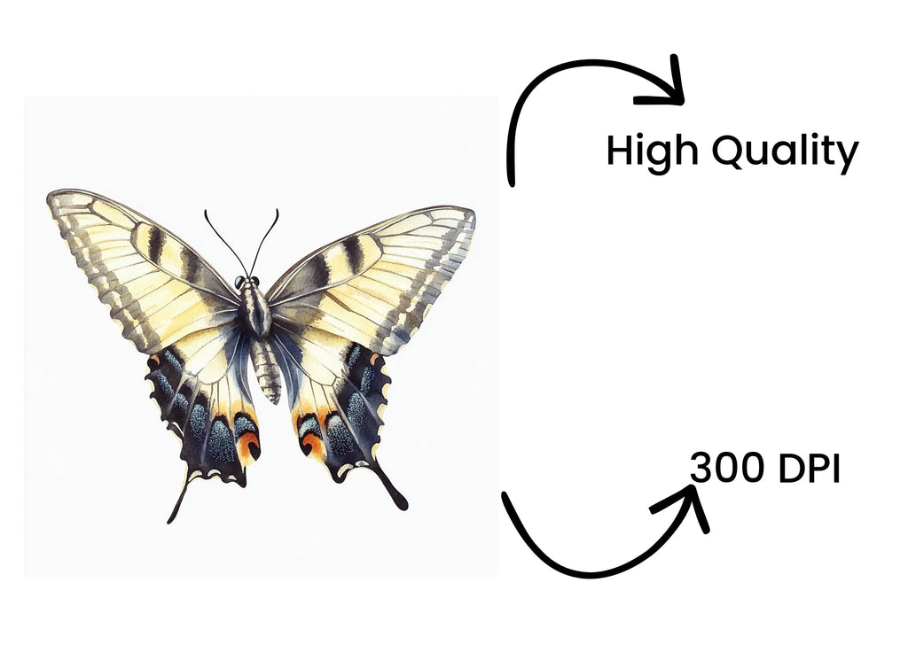 Dynamic Butterfly Clipart Bundle