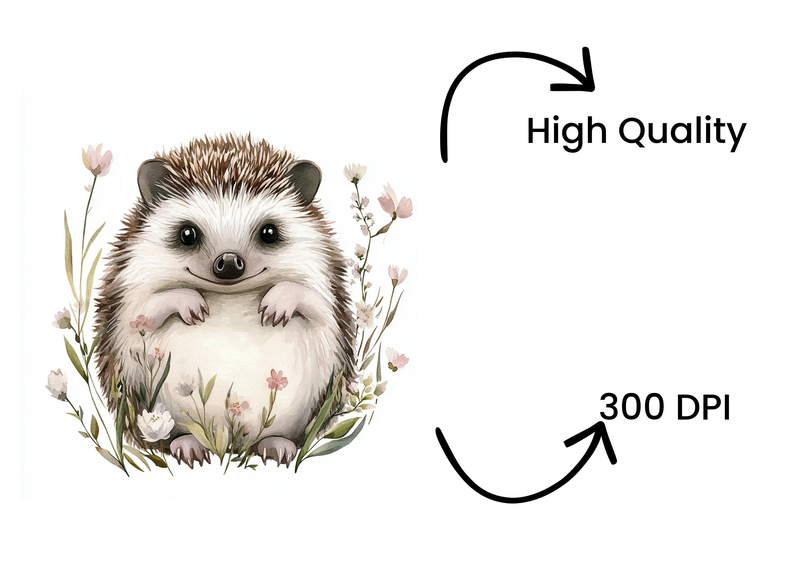 Happy Hedgehog in Wildflowers Clipart Bundle