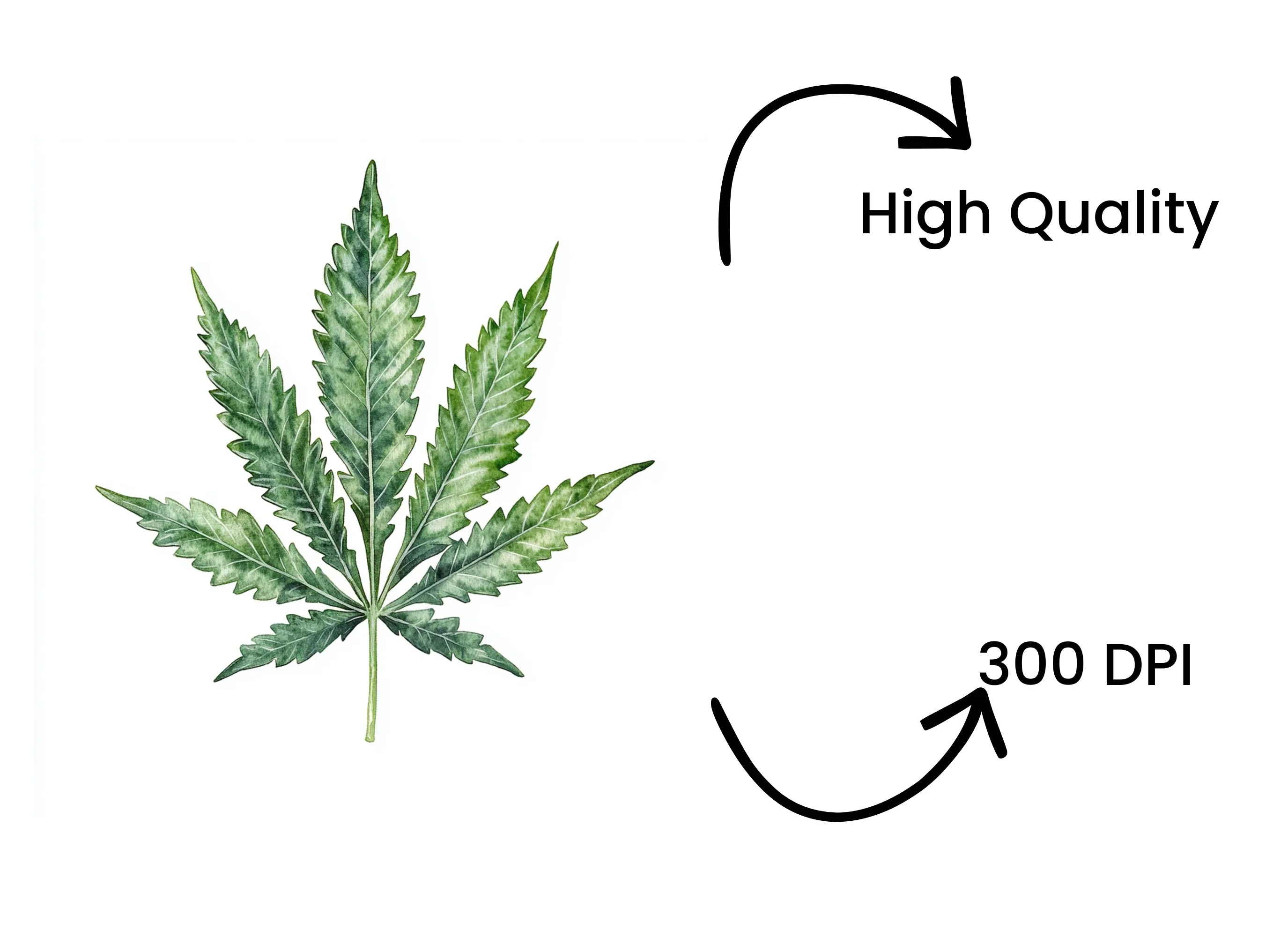 Cannabis Leaves Clipart Bundle