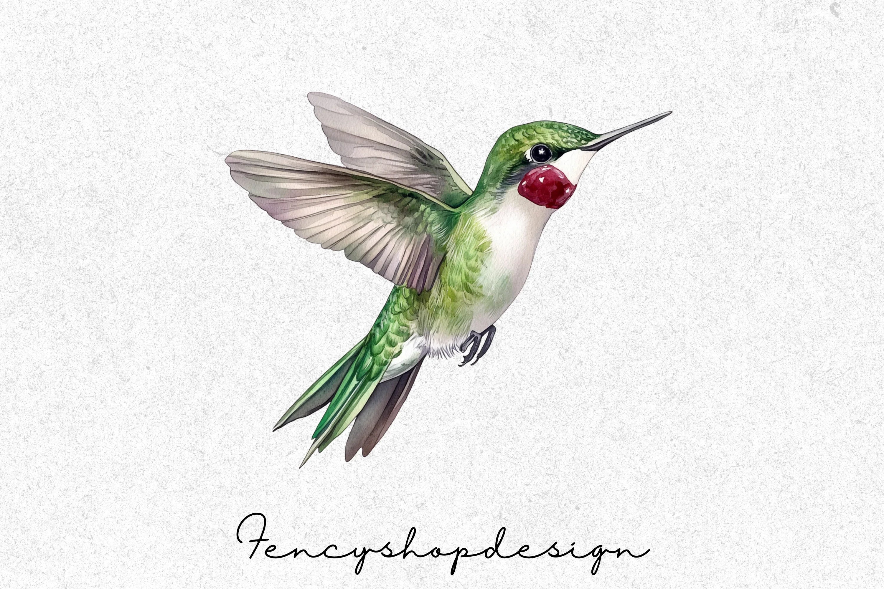 Vibrant Hummingbird Clipart Bundle
