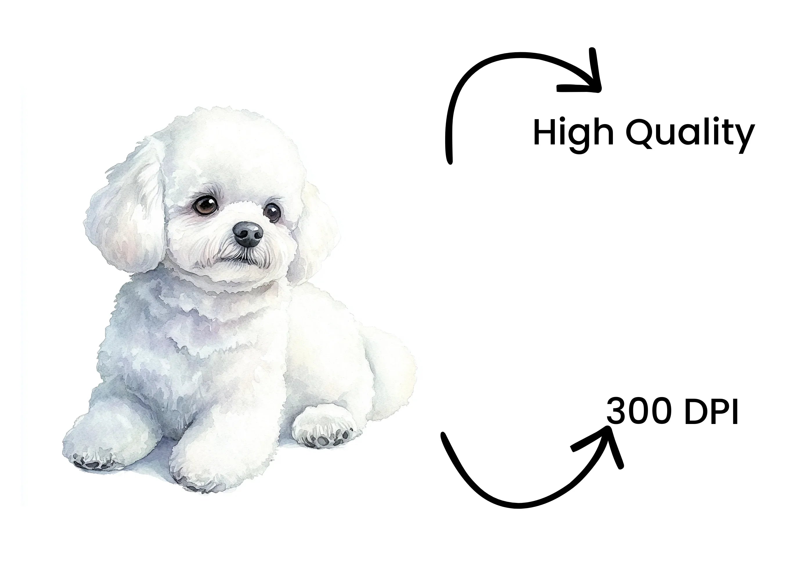 Cute Bichon Frise Puppy Clipart Bundle