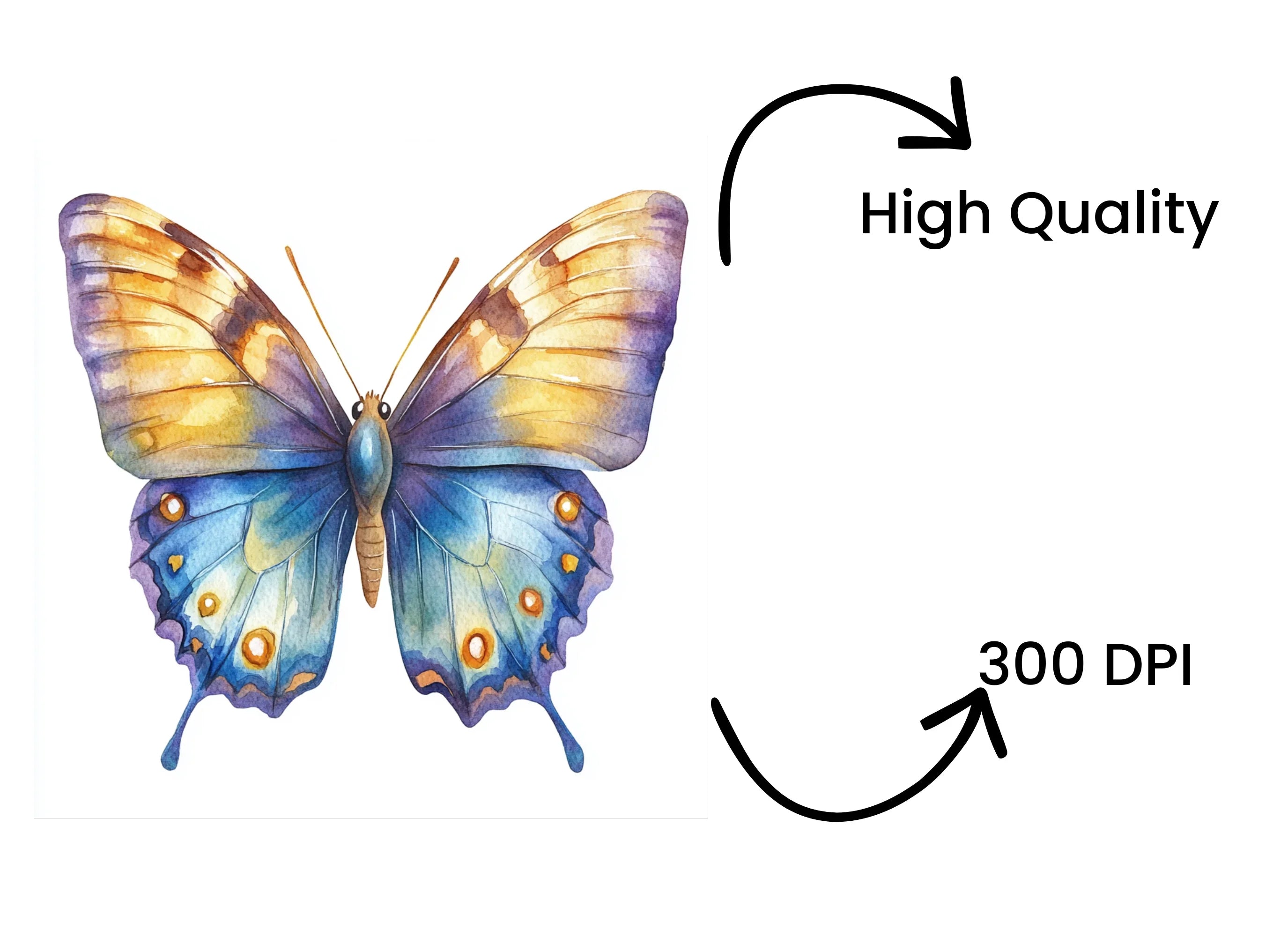 Elegant Blue and Gold Butterfly Clipart Bundle