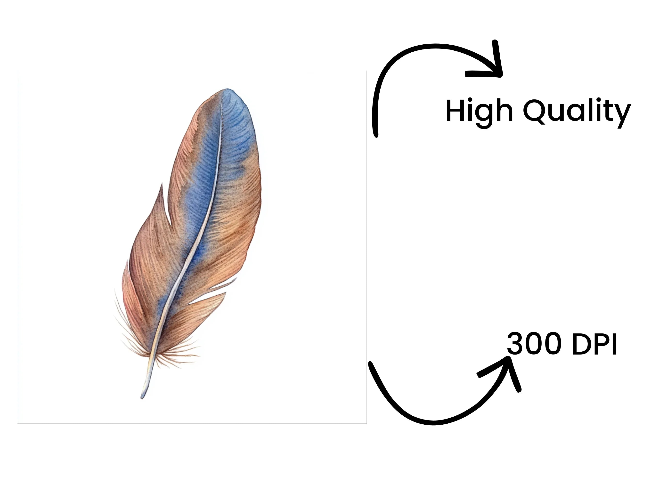 Rustic Feather Clipart Bundle