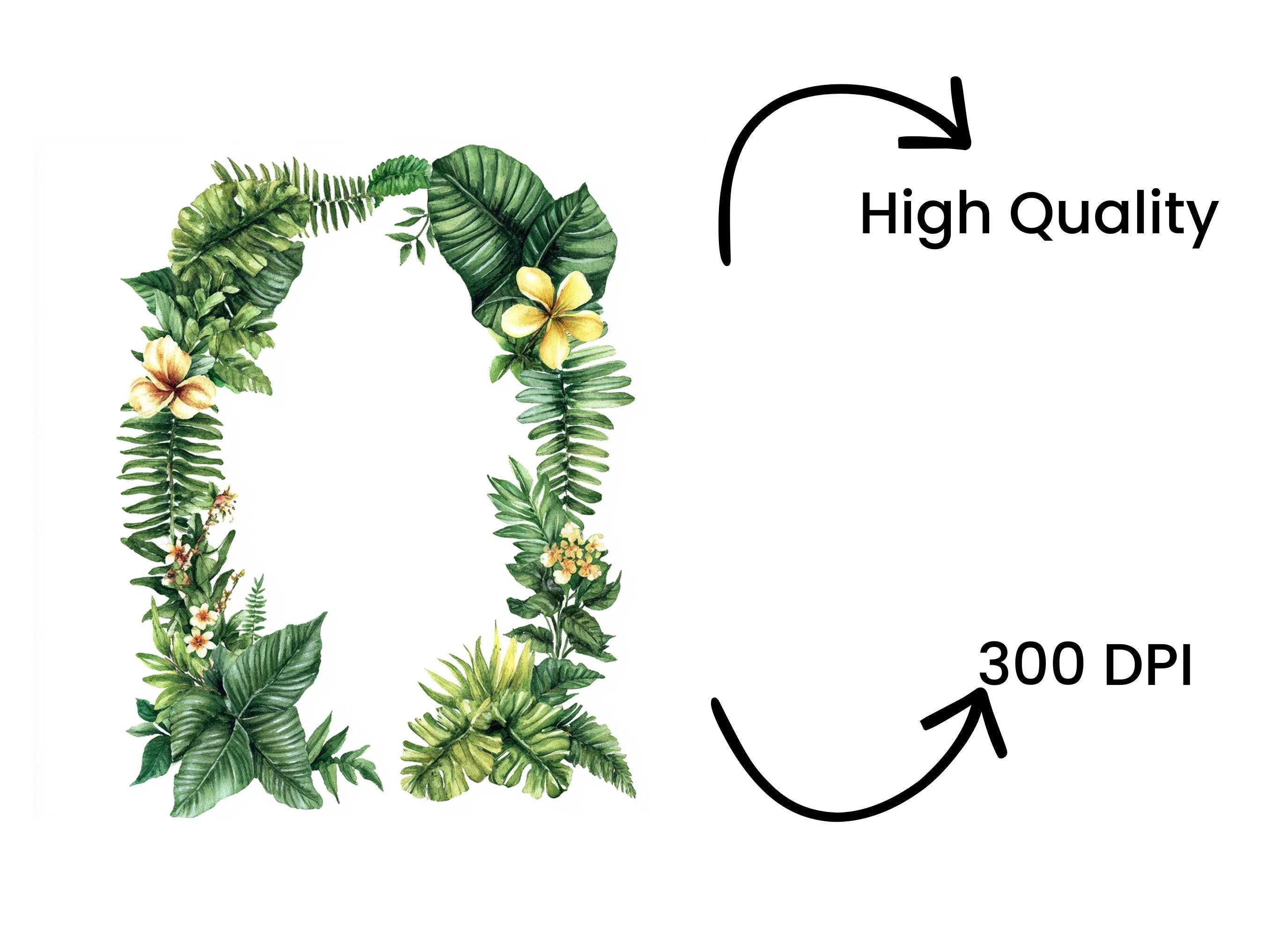 Tropical Leaves Plumeria Frame Clipart Bundle