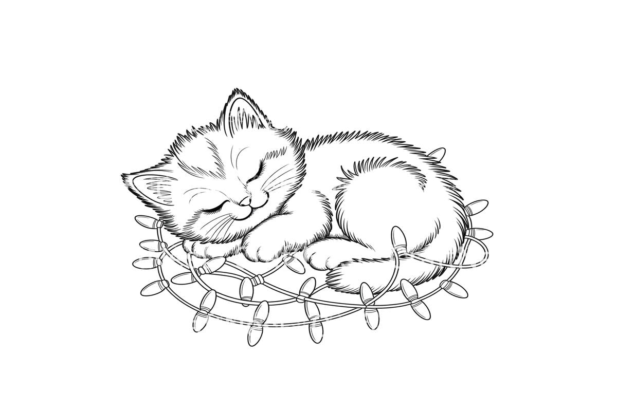 Sleeping Kittens with Christmas Lights Coloring Books