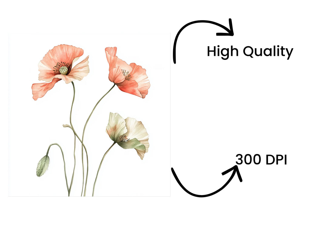 Poppy Clipart Bundle