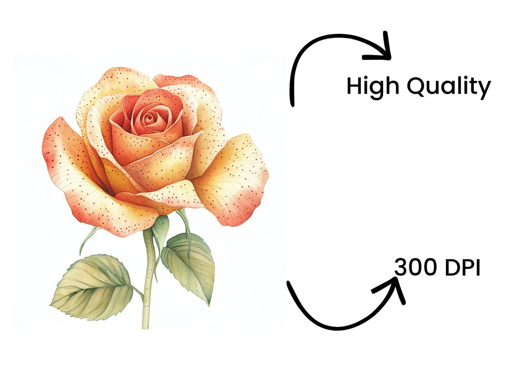 Vibrant Peach and Yellow Rose Clipart Bundle