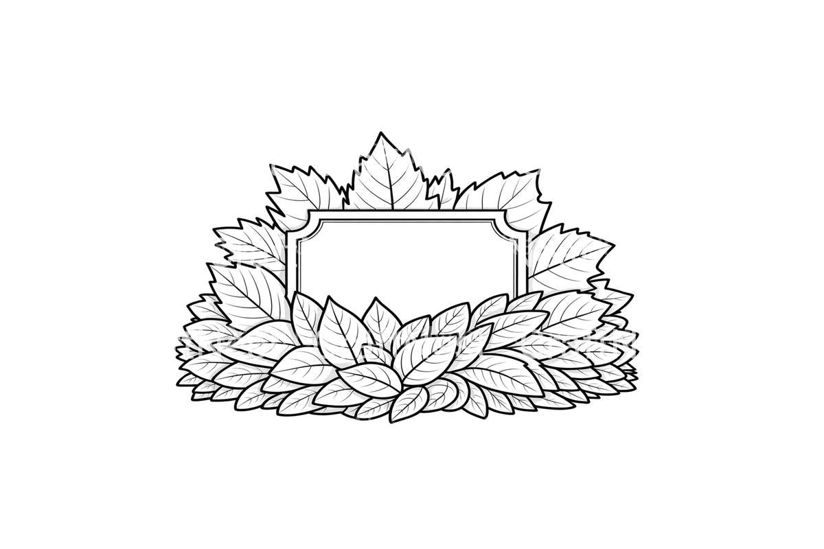 Leafy Frames Coloring Books