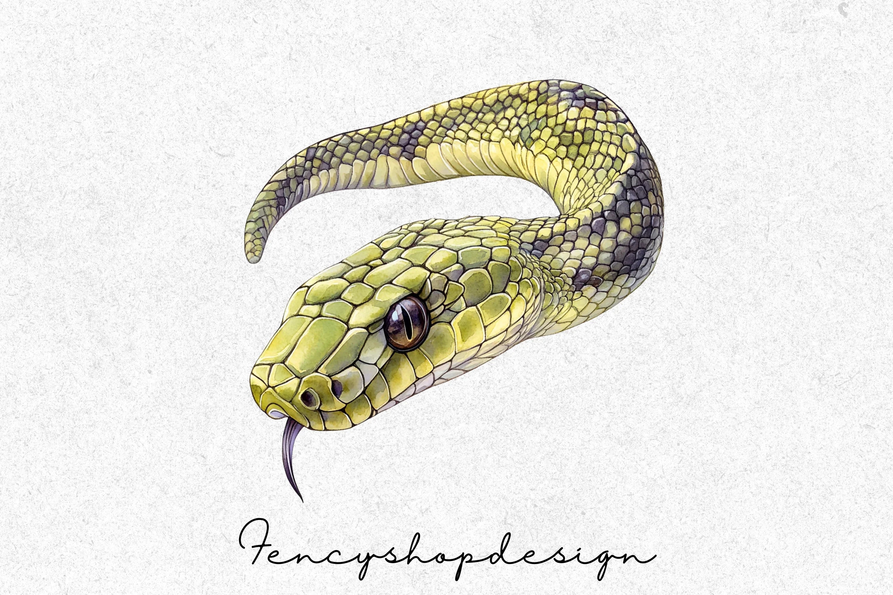 Realistic Snake Clipart Bundle