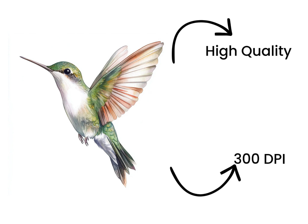 Hummingbird Clipart Bundle