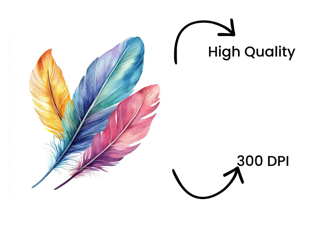 Colorful Feather Arrangement Clipart Bundle