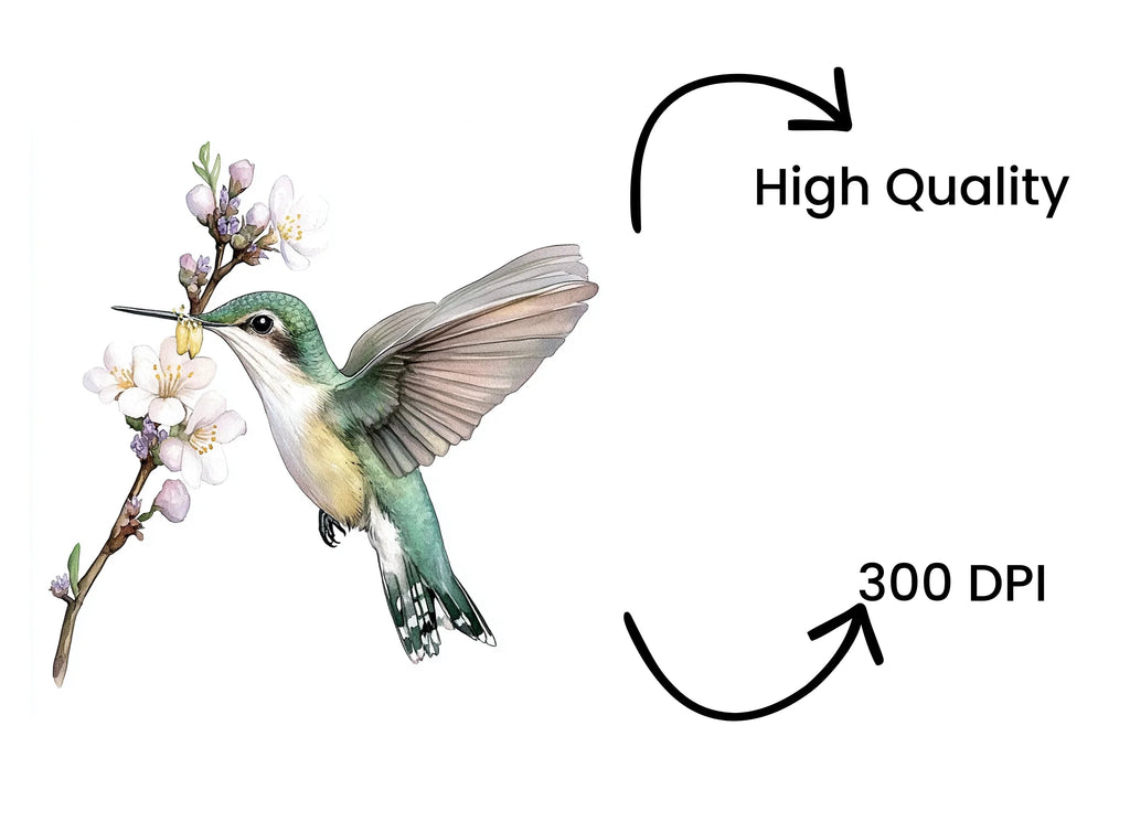 Hummingbird and Blossom Clipart Bundle