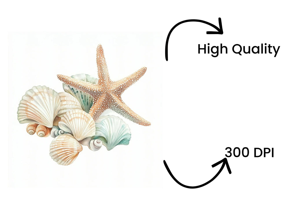 Starfish and Seashells Clipart Bundle