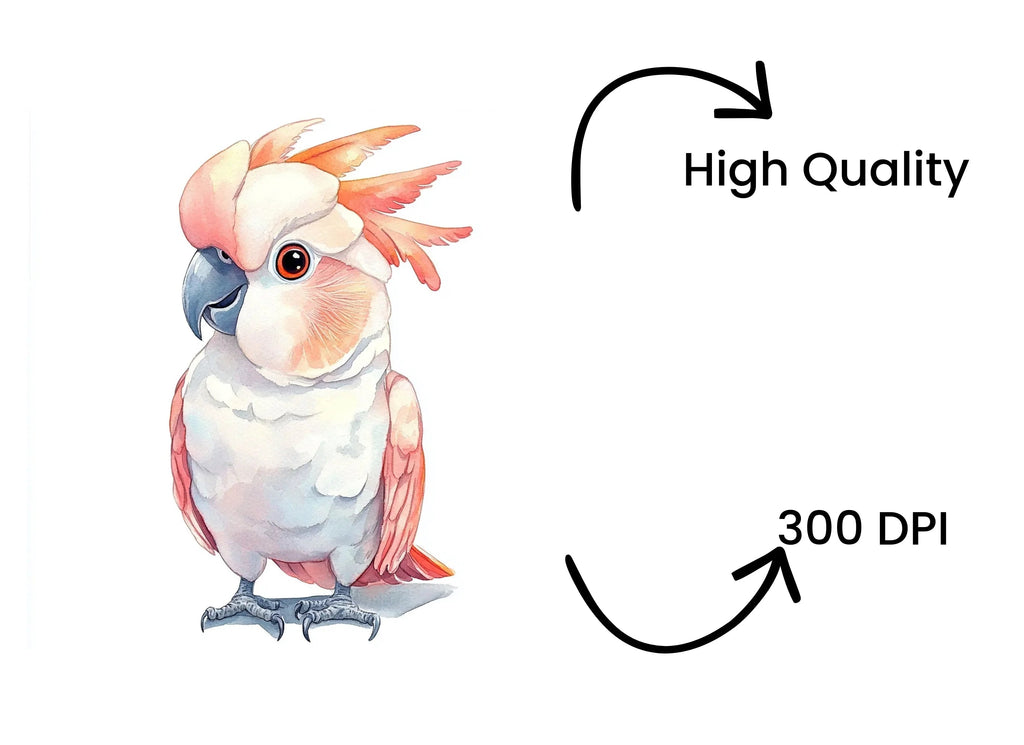 Cute Pink Cockatoo Clipart Bundle
