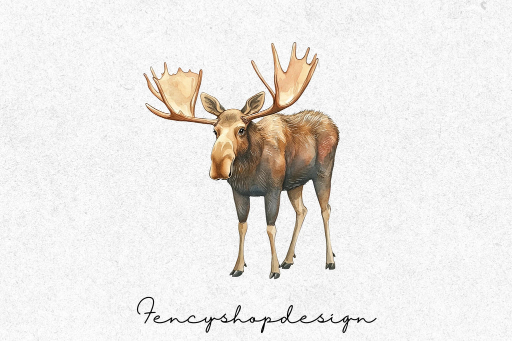 Moose Animal Clipart Bundle