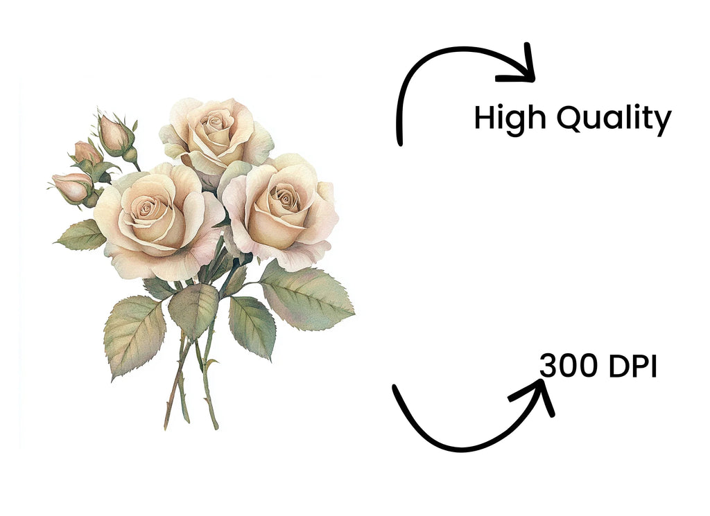 Elegant Cream Roses Clipart Bundle