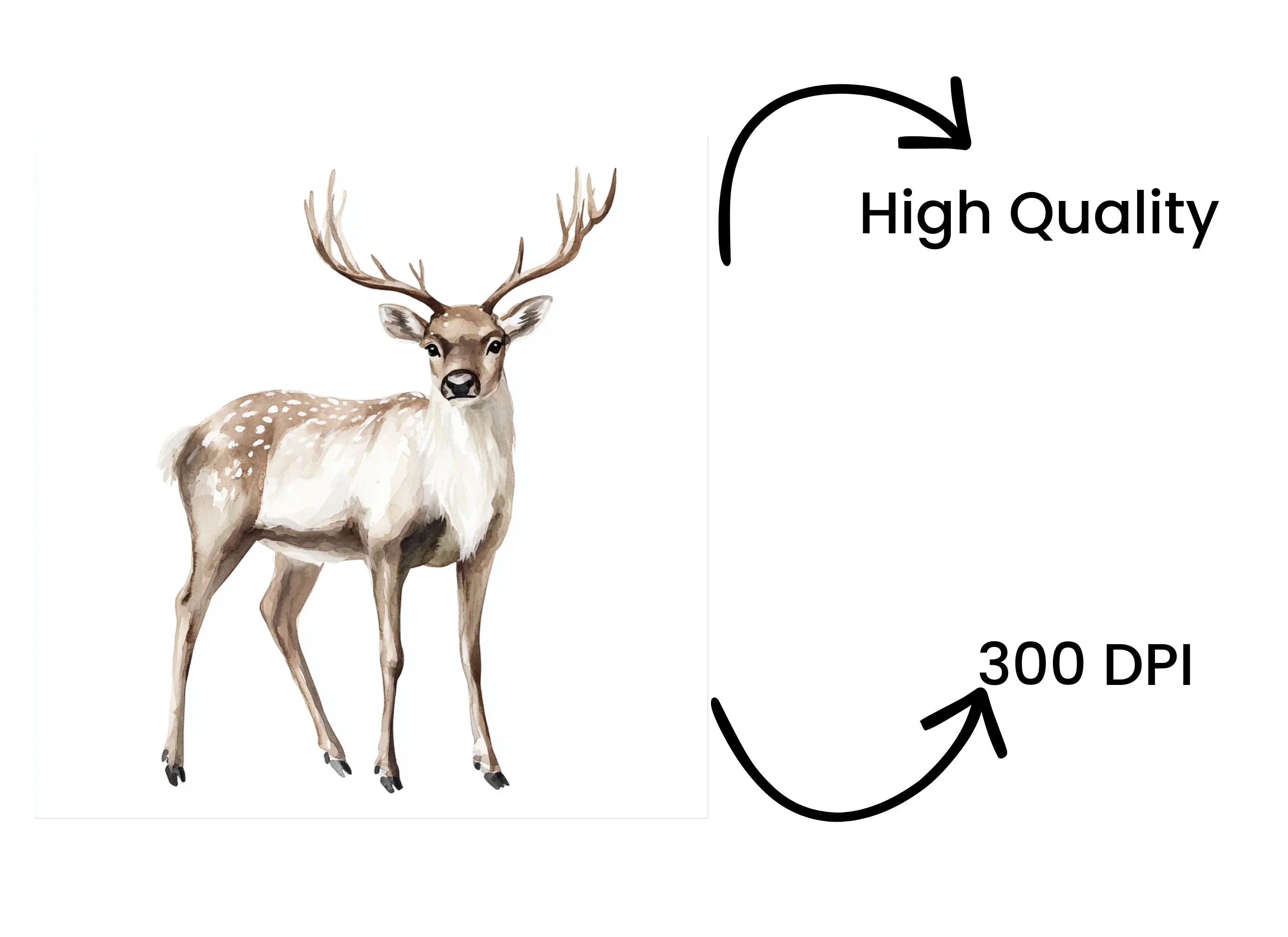 Deer Clipart Bundle