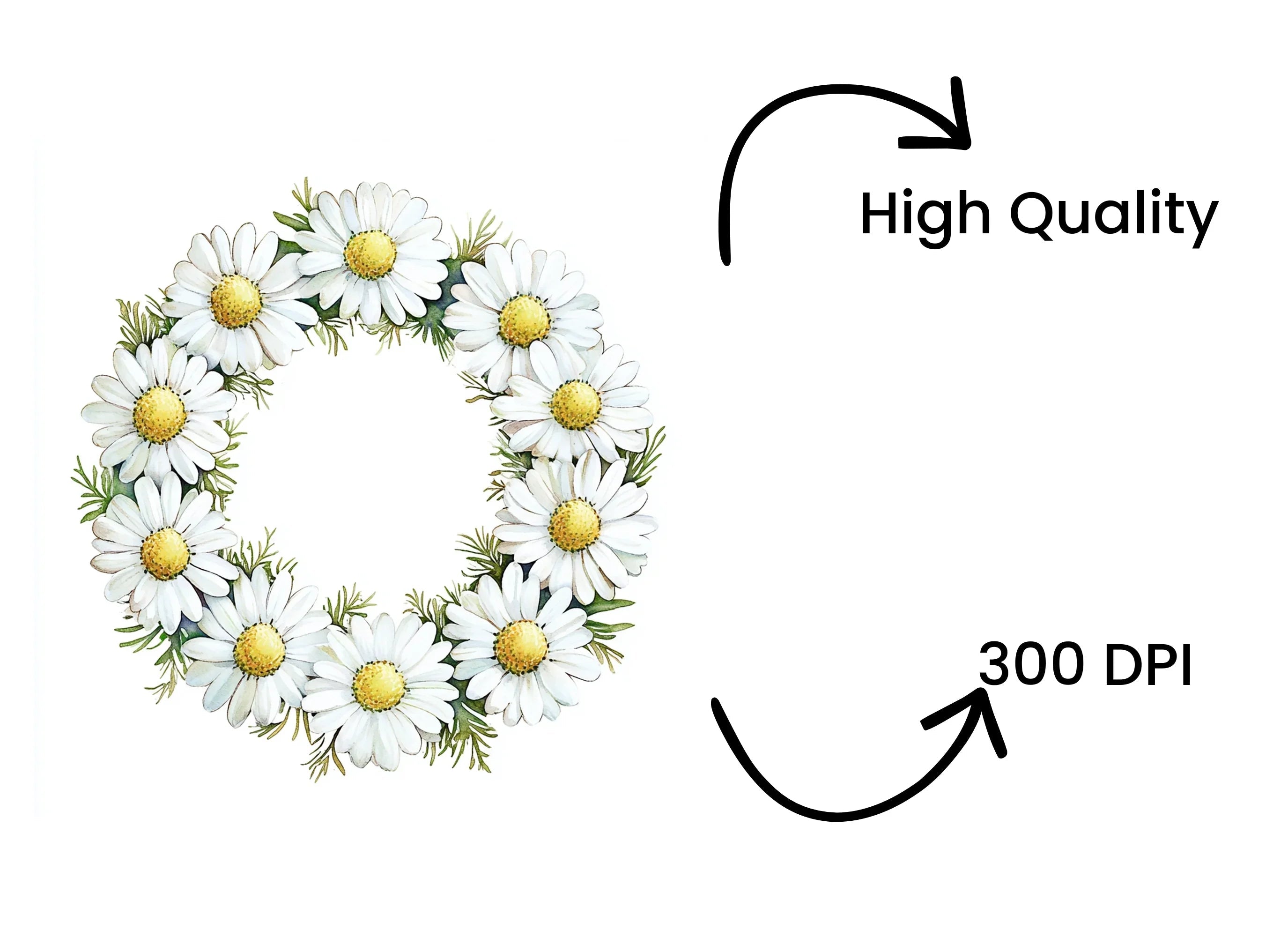 Daisy Wreath Clipart Bundle