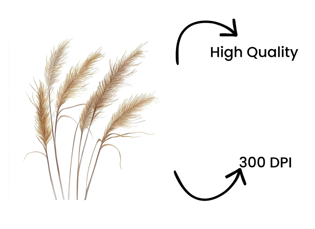 Pampas Grass Clipart Bundle