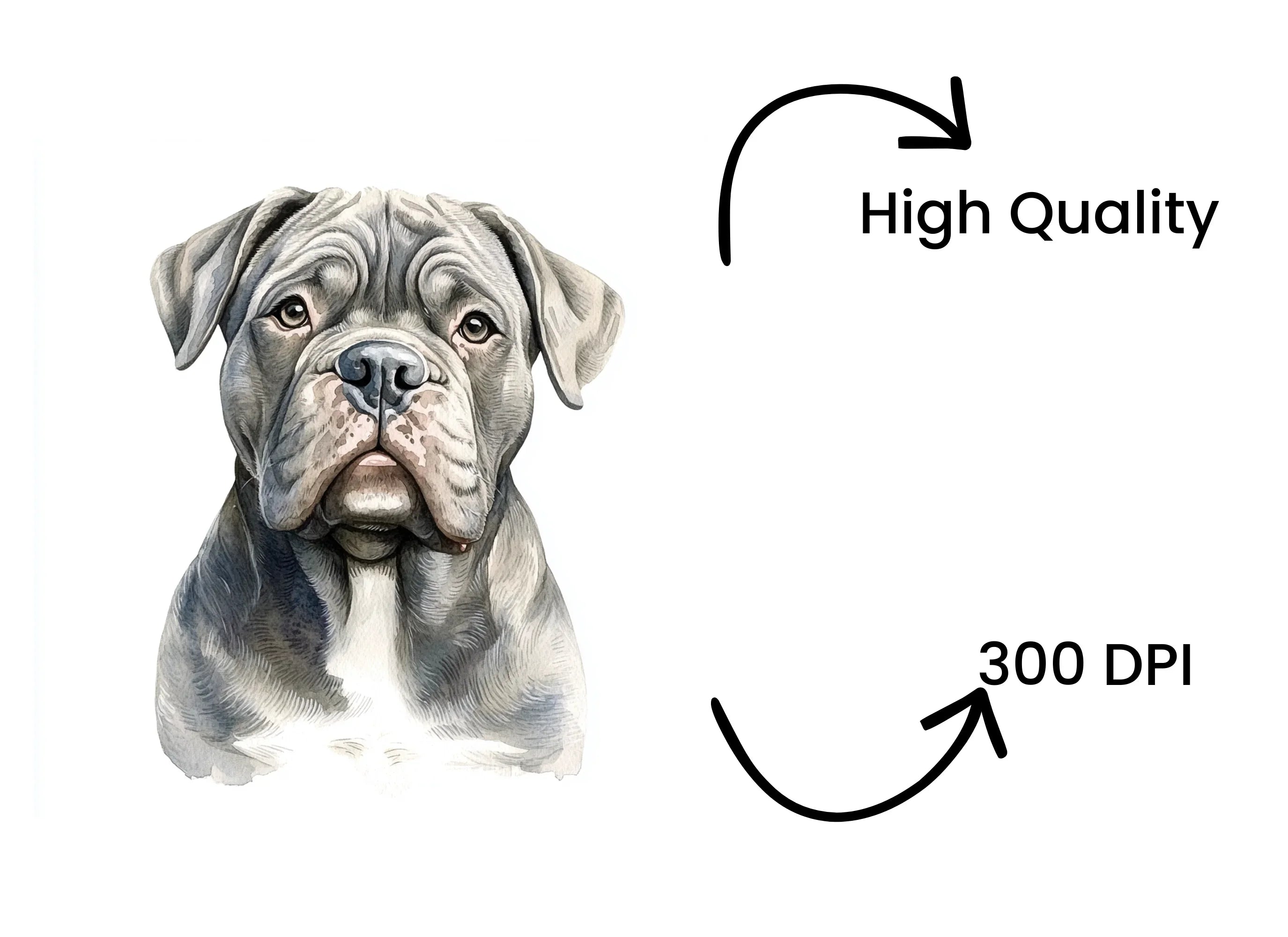 Cute Bullmastiff Puppy Clipart Bundle