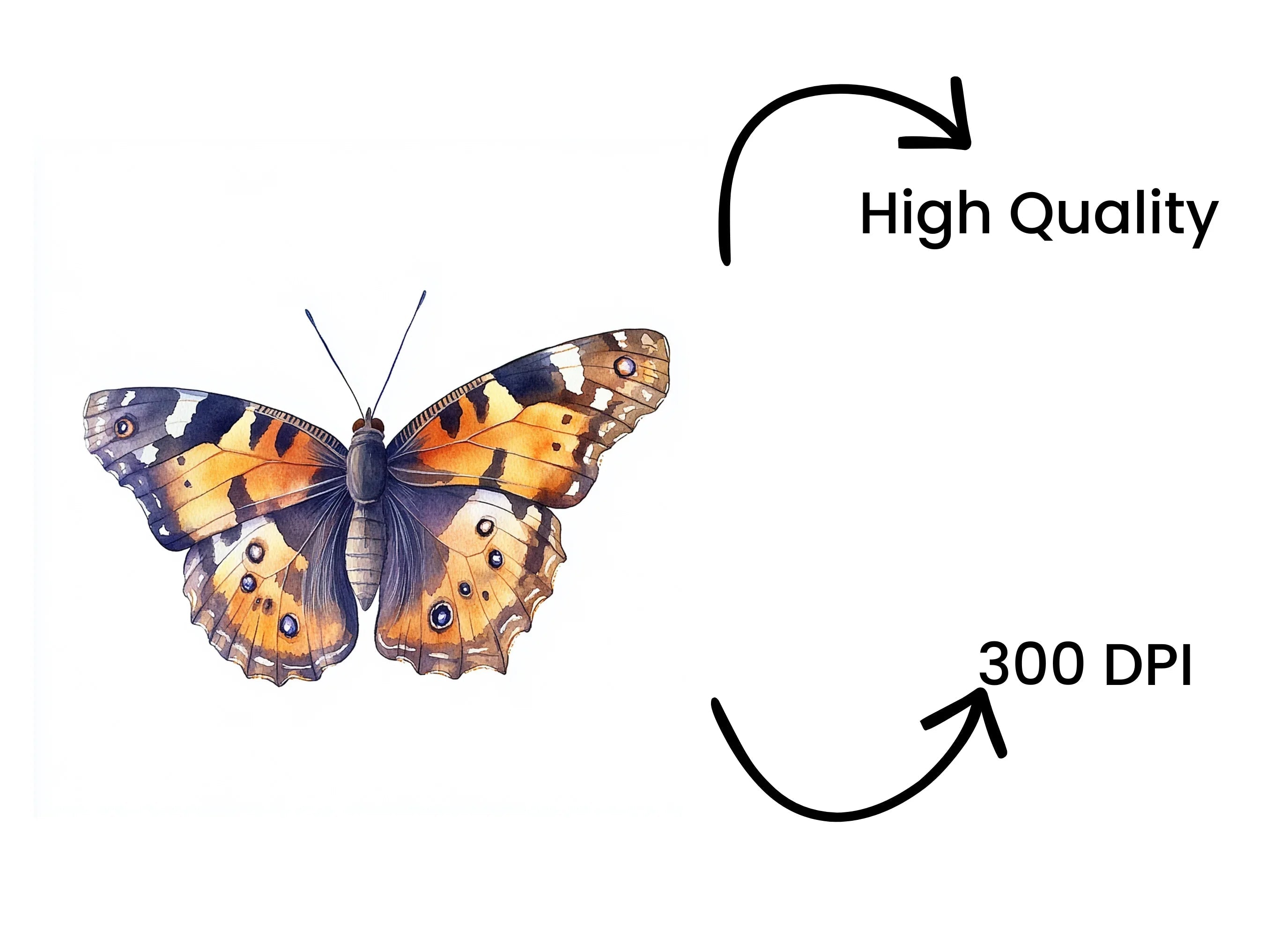 Butterfly Clipart Bundle