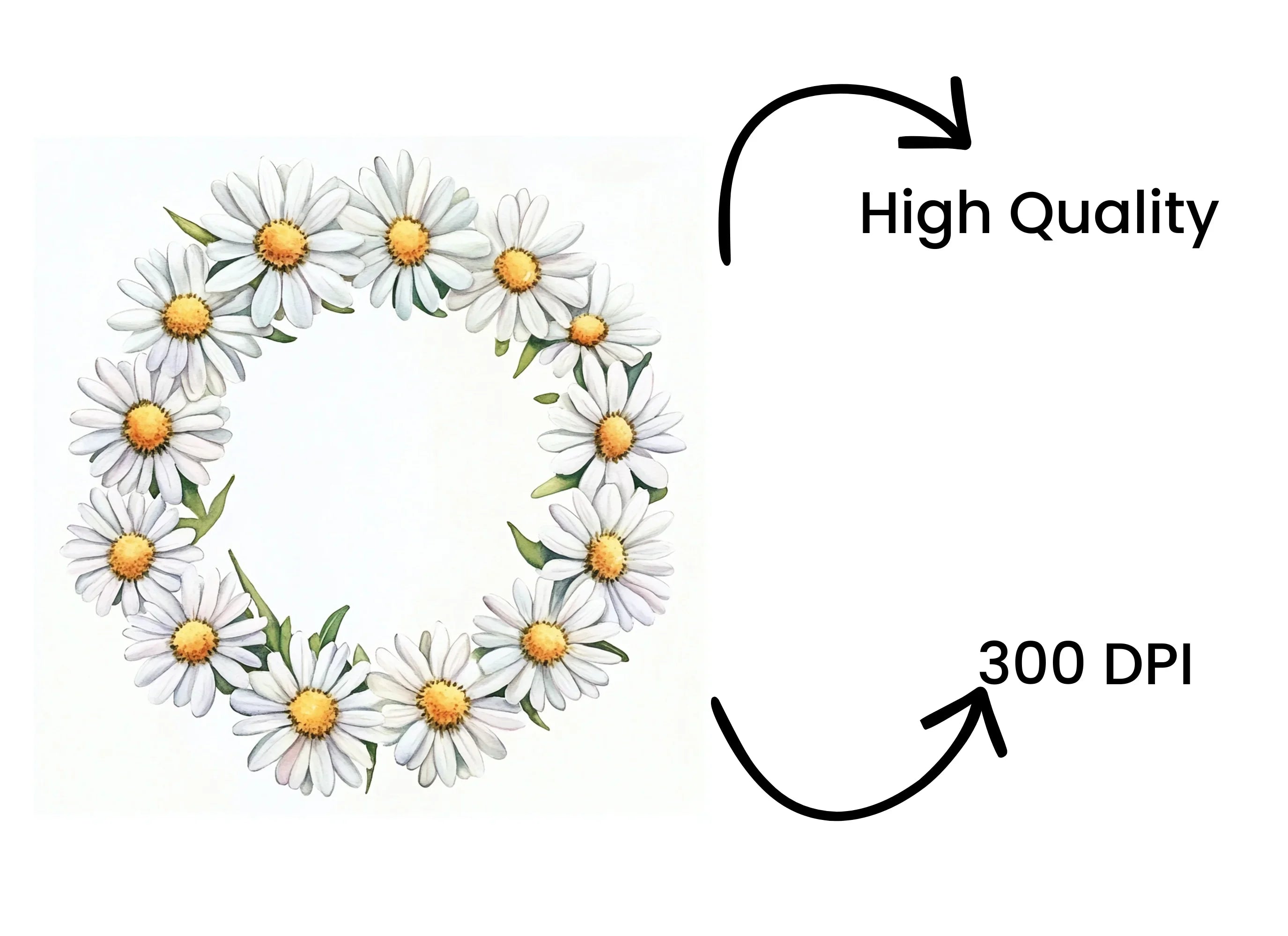 Charming Daisy Flower Wreath Clipart Bundle